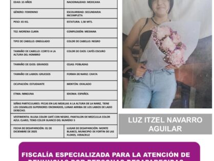 LUZ ITZEL NAVARRO AGUILAR