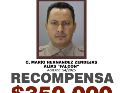 MARIO HERNÁNDEZ ZENDEJAS ALIAS "FALCÓN"