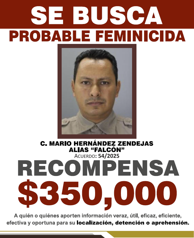 MARIO HERNÁNDEZ ZENDEJAS ALIAS "FALCÓN"