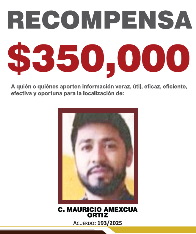 MAURICIO AMEXCUA ORTIZ