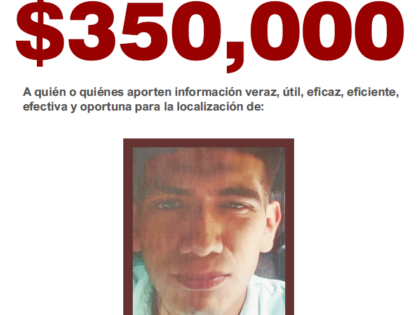 BRAYAN DOMINGUEZ FLORES