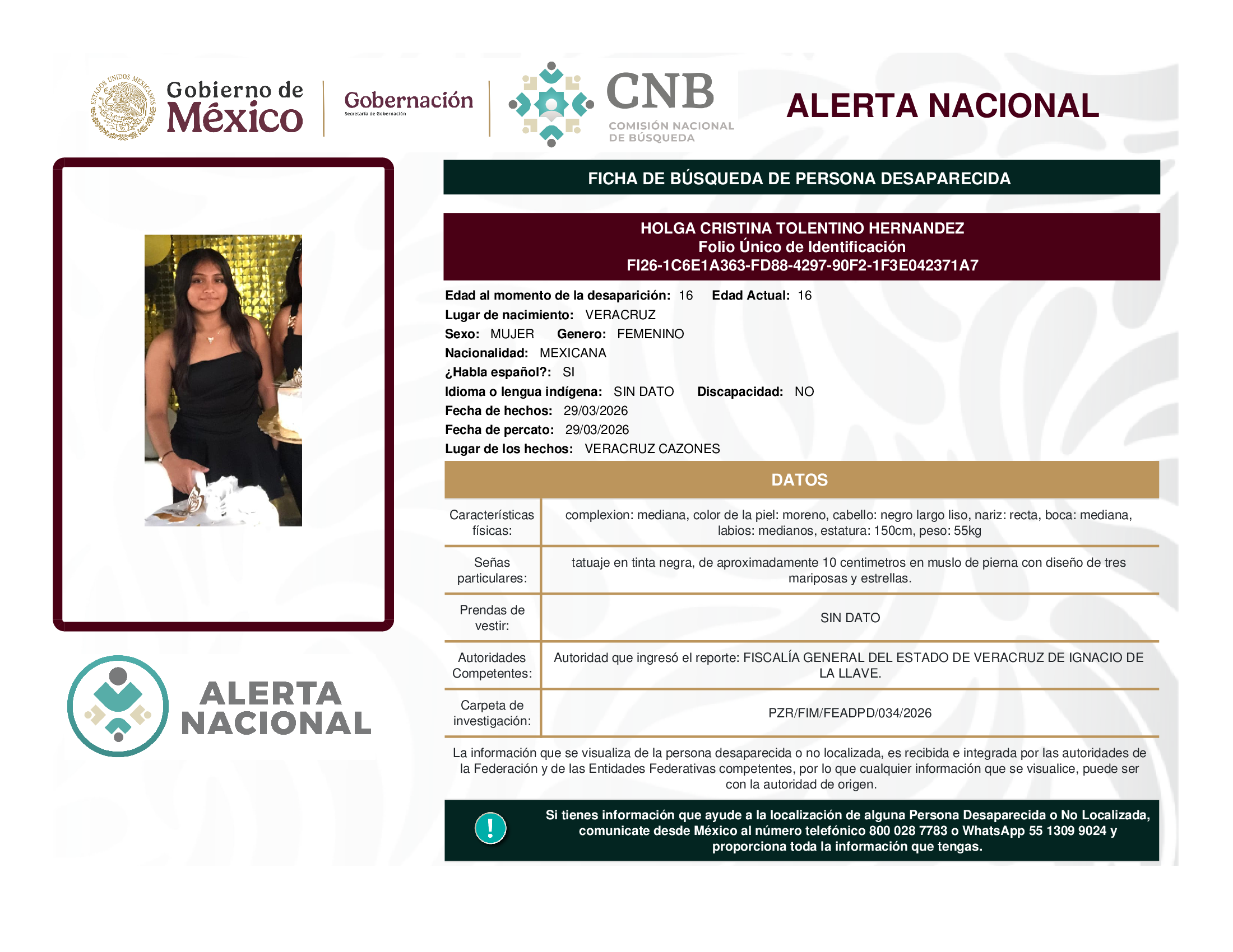 HOLGA CRISTINA TOLENTINO HERNANDEZ