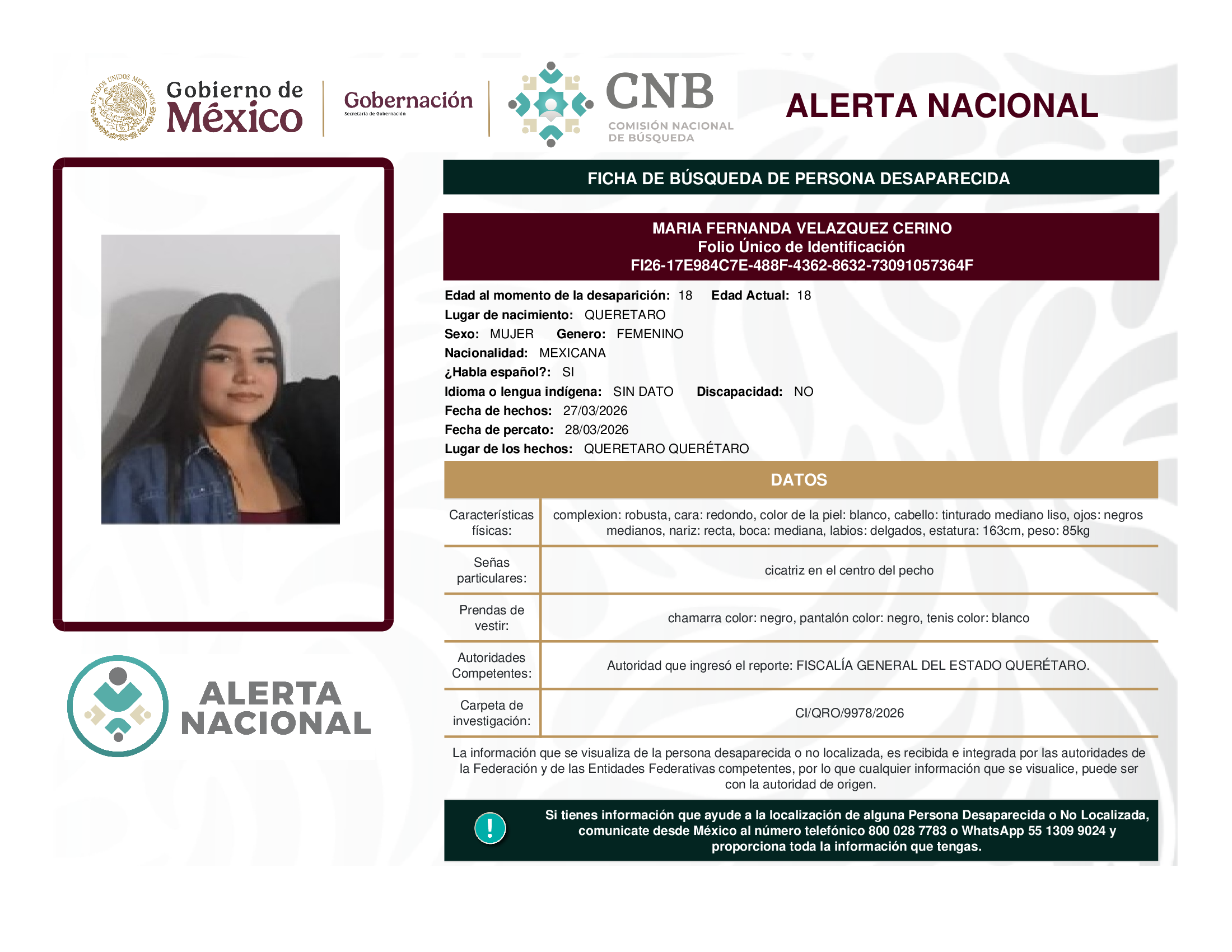 MARIA FERNANDA VELAZQUEZ CERINO