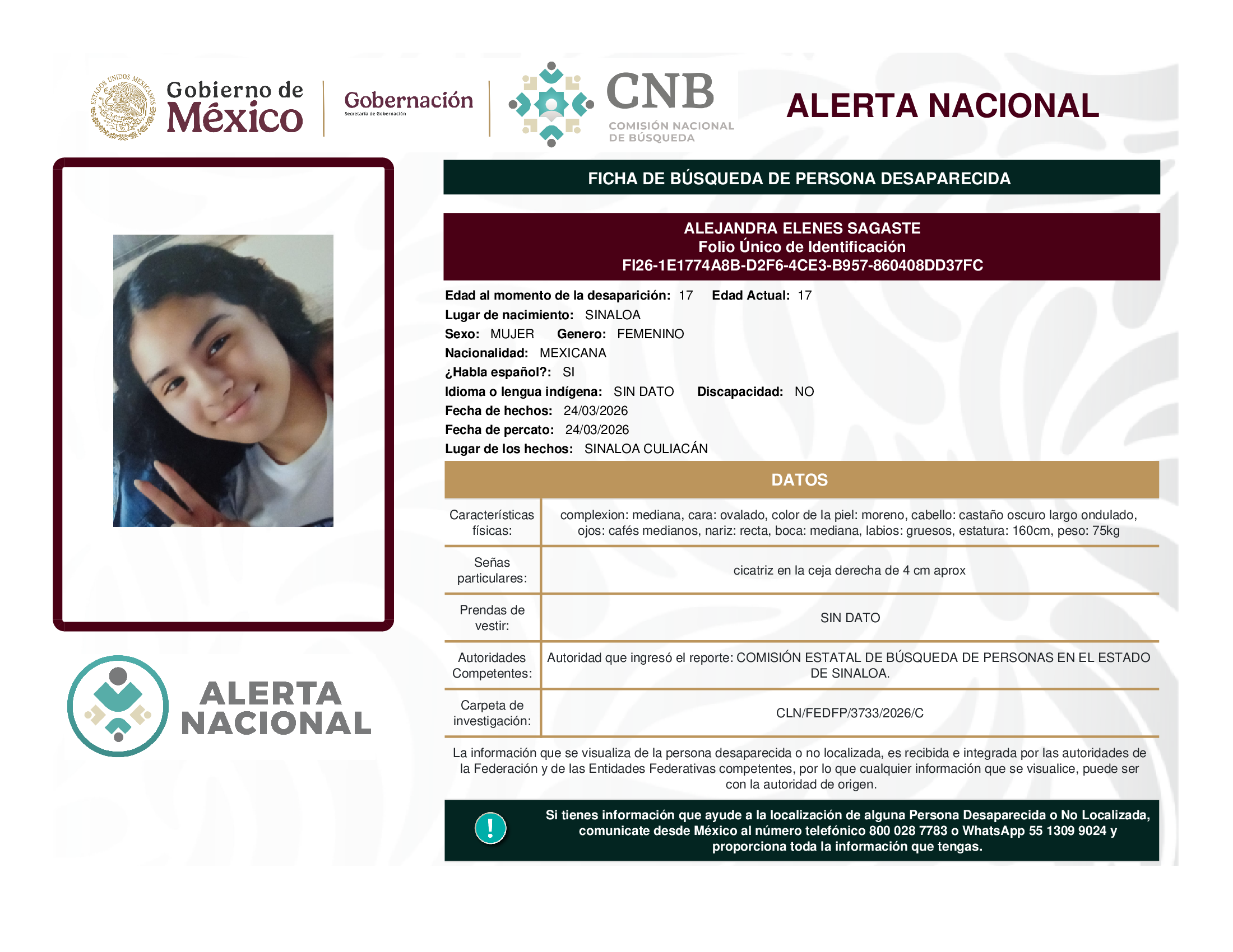 ALEJANDRA ELENES SAGASTE