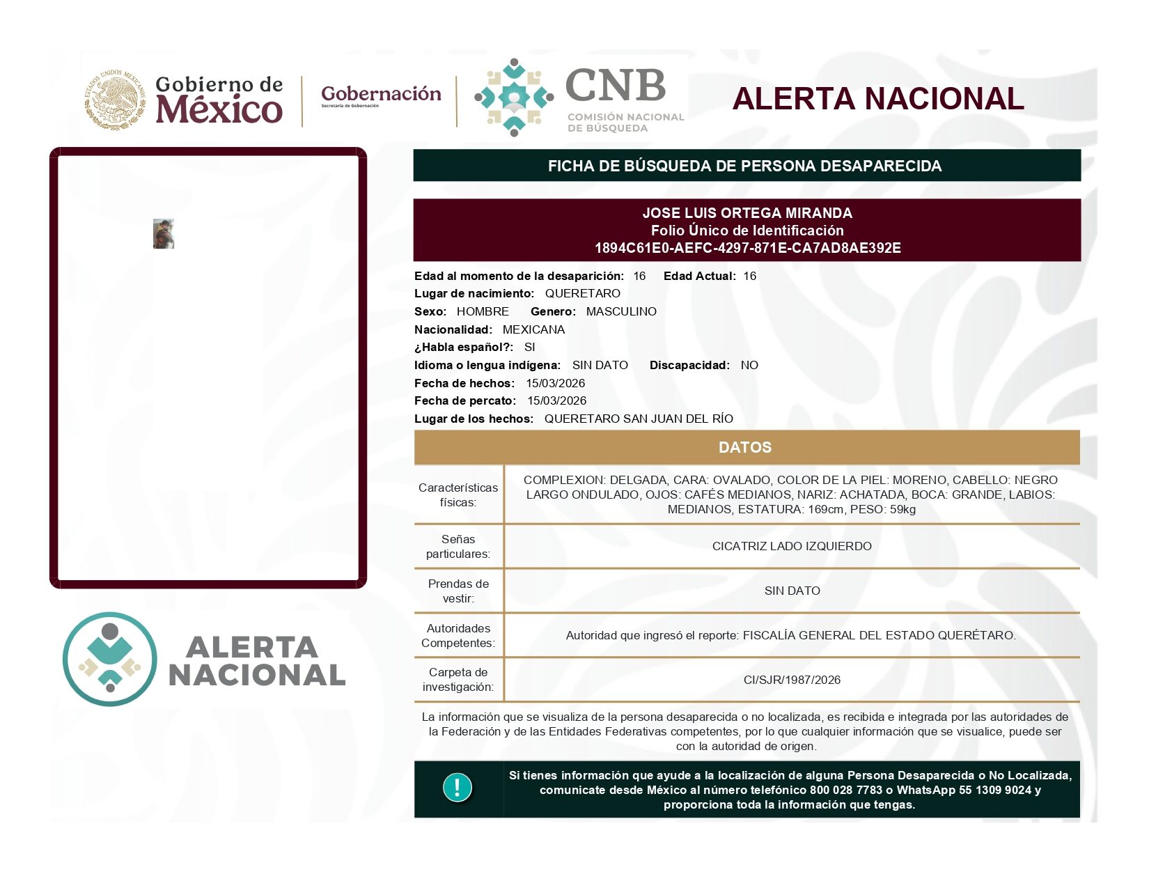 JOSE LUIS ORTEGA MIRANDA