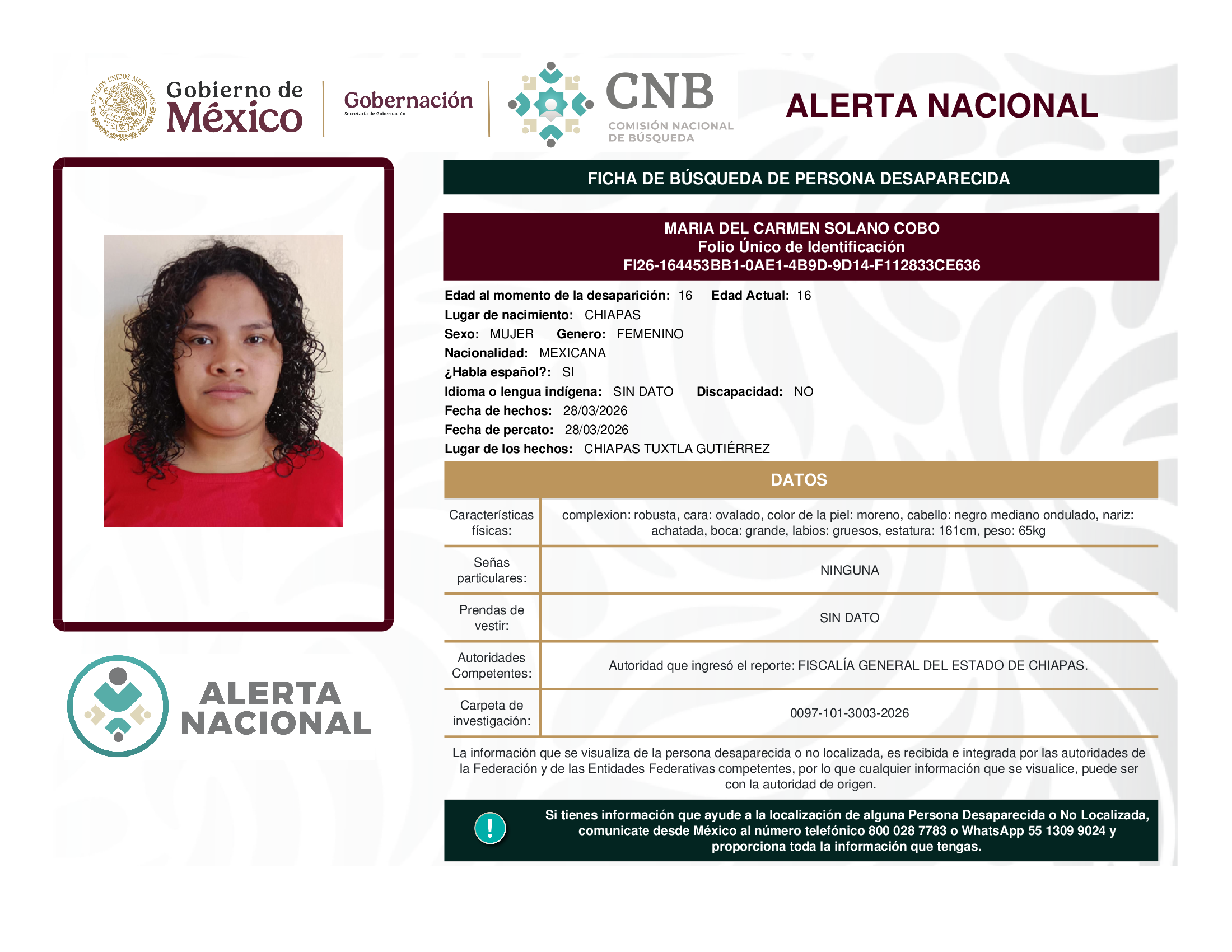 MARIA DEL CARMEN SOLANO COBO