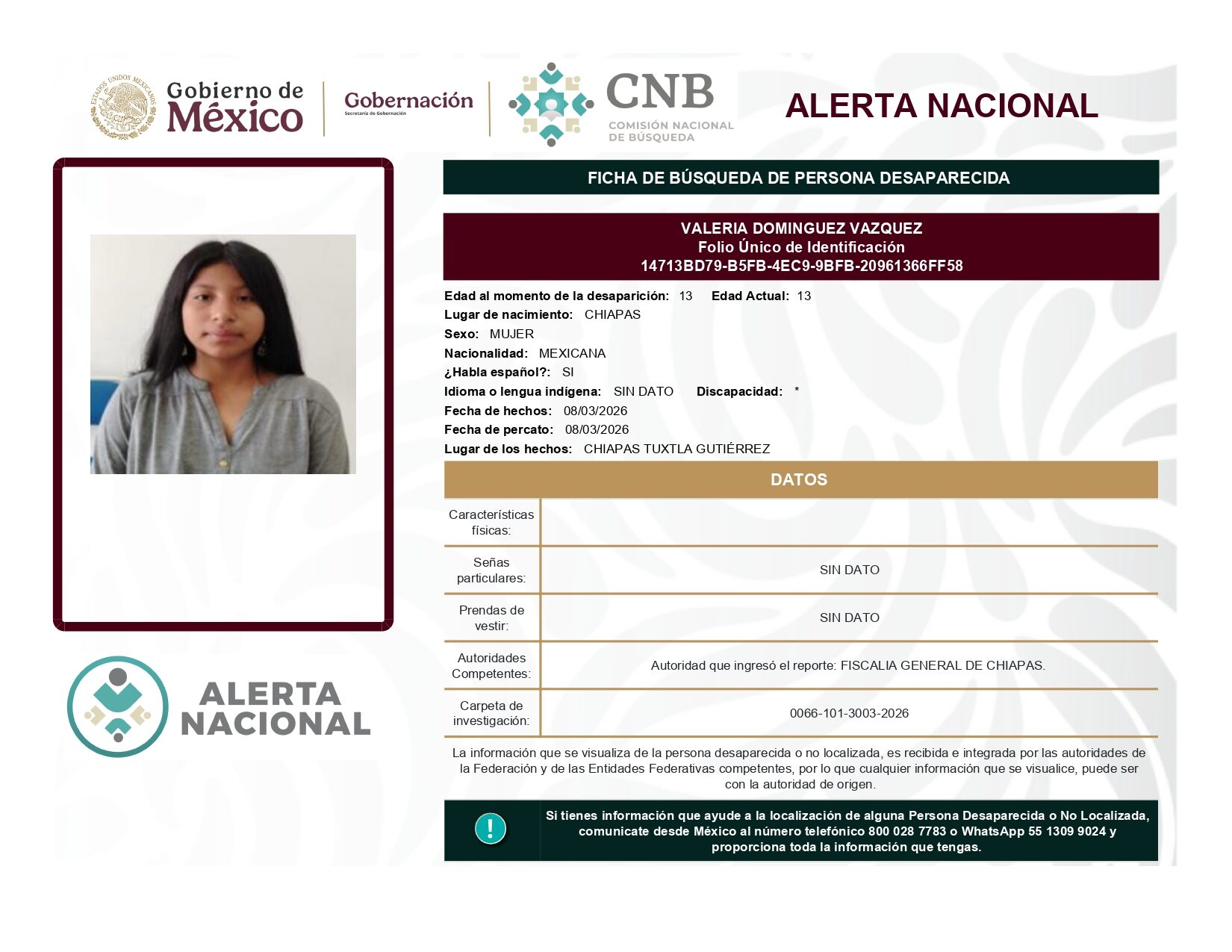 VALERIA DOMINGUEZ VAZQUEZ