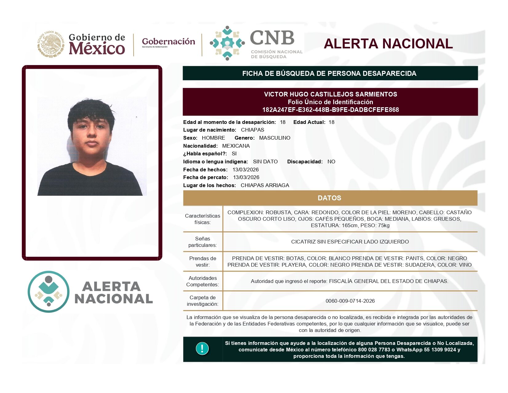 VICTOR HUGO CASTILLEJOS SARMIENTOS