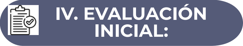 Descripción de la imagen