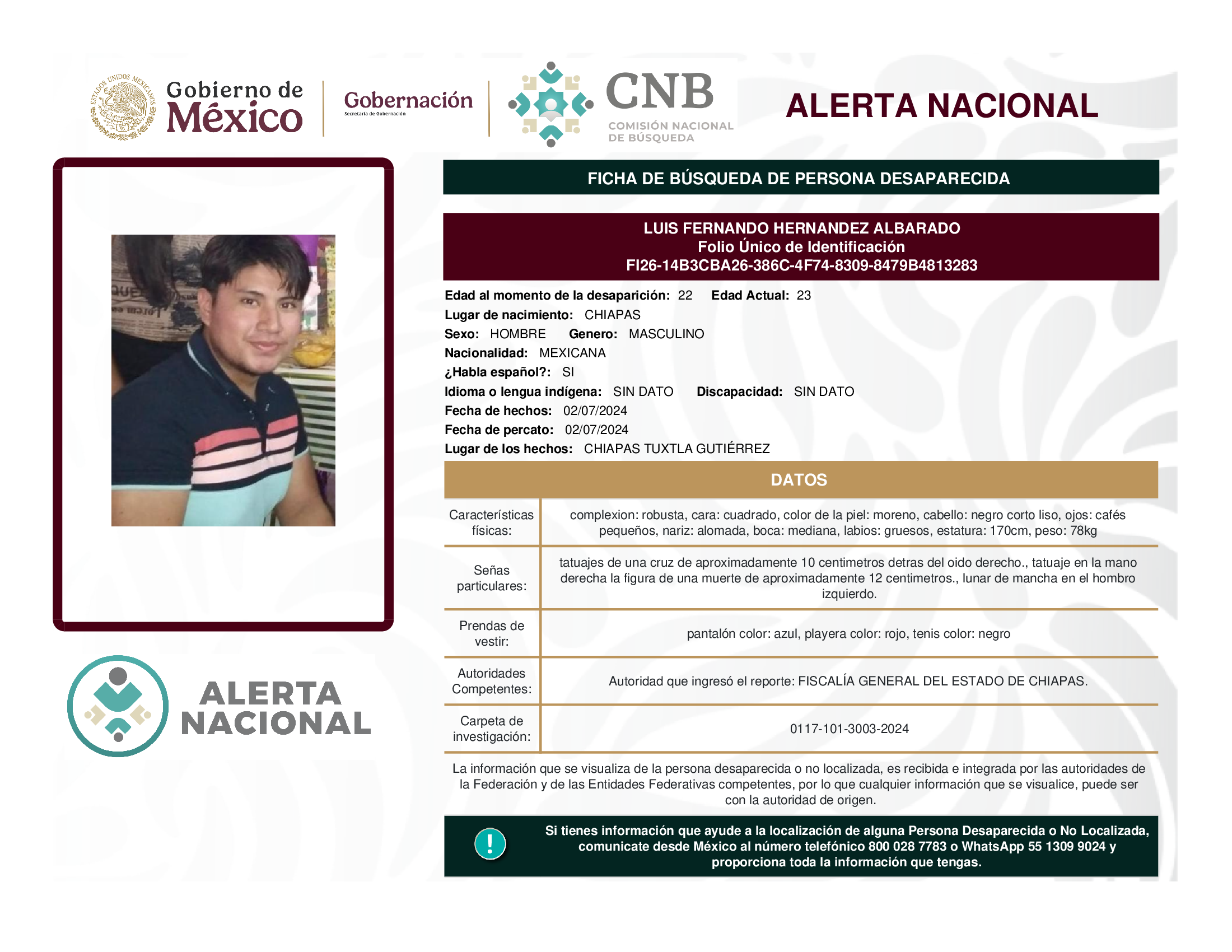 LUIS FERNANDO HERNANDEZ ALBARADO