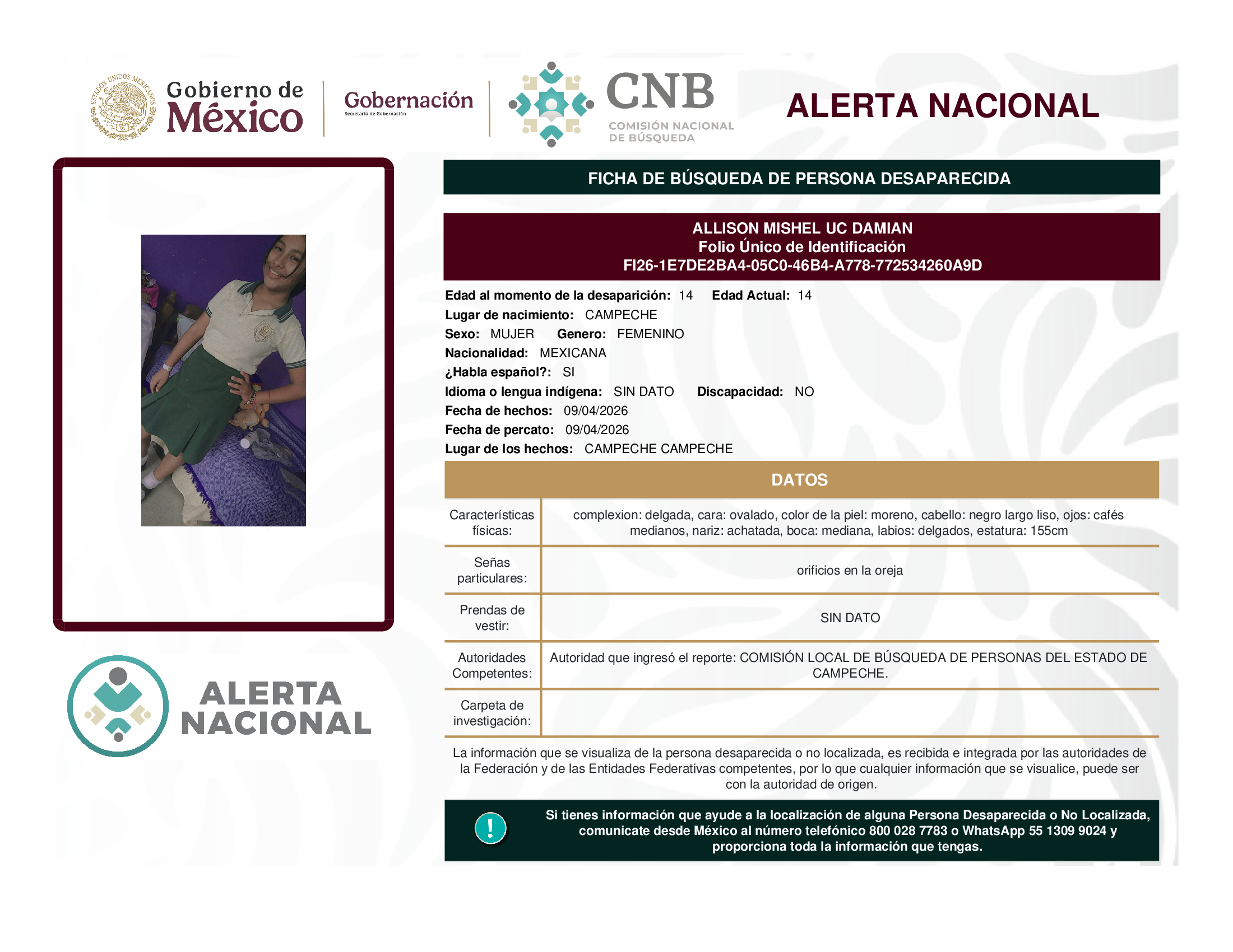 ALLISON MISHEL UC DAMIAN