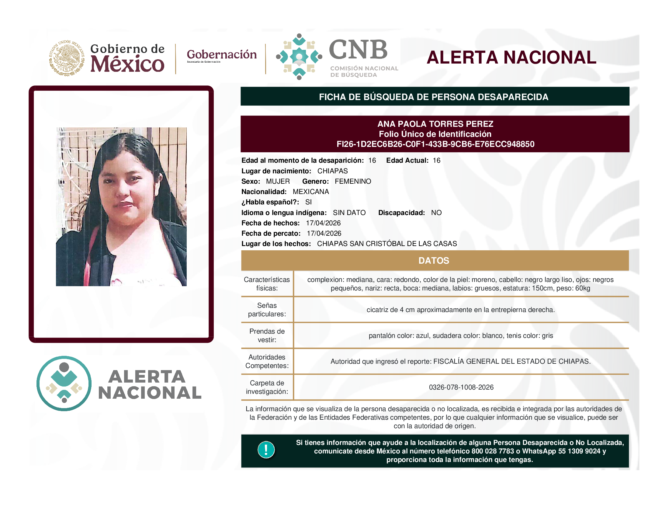 ANA PAOLA TORRES PEREZ