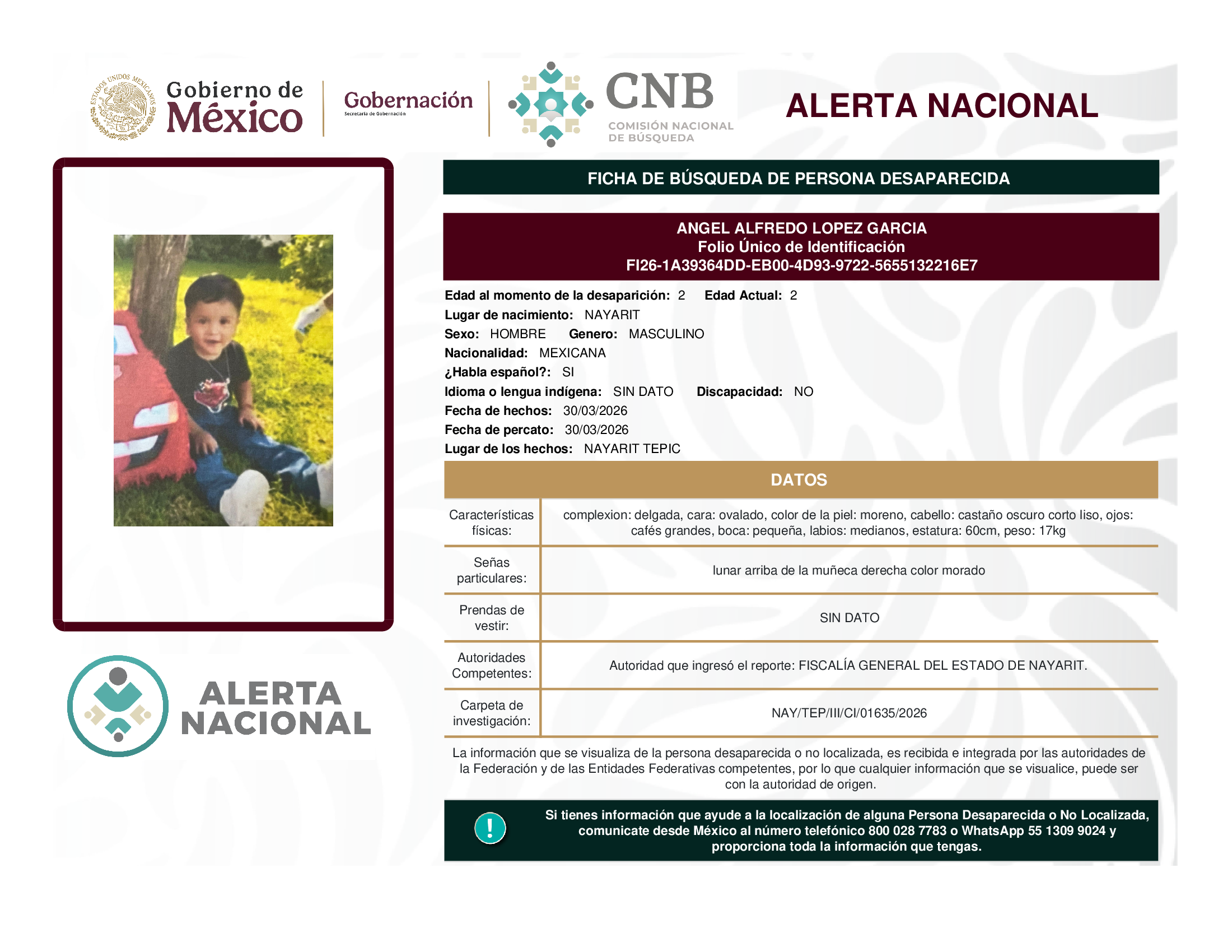 ANGEL ALFREDO LOPEZ GARCIA