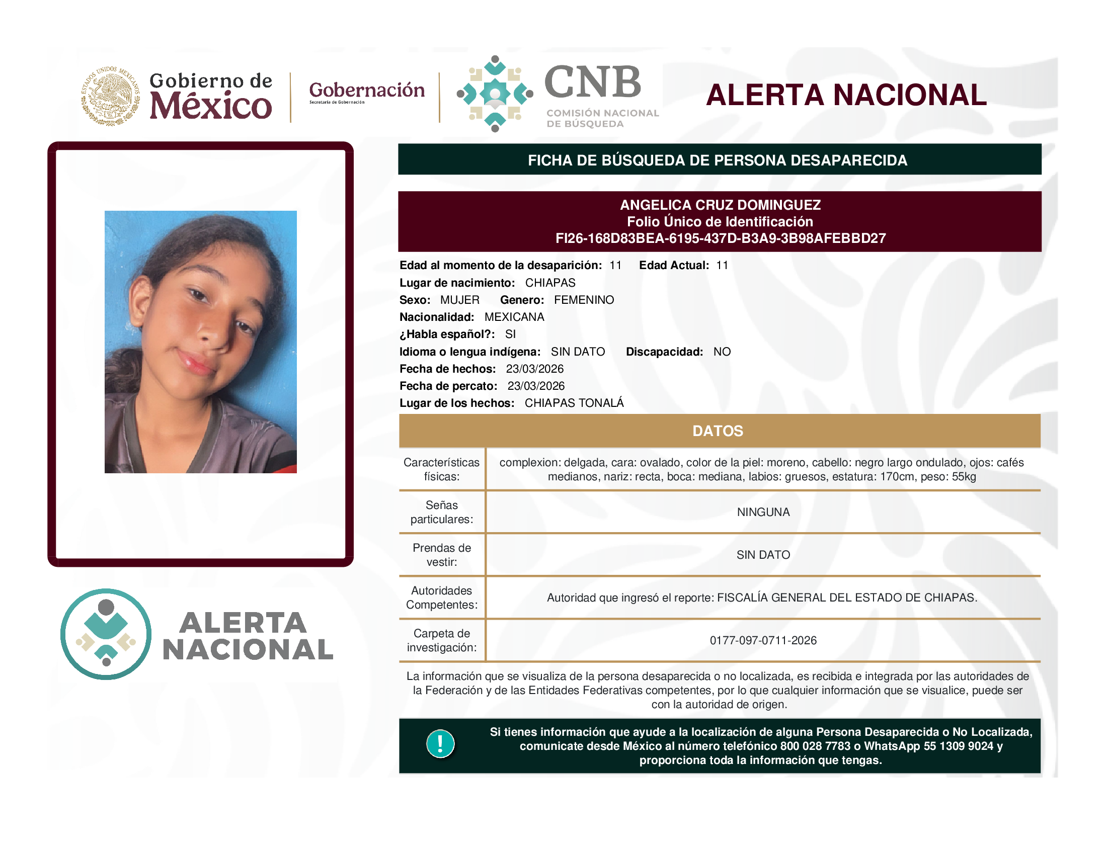 ANGELICA CRUZ DOMINGUEZ