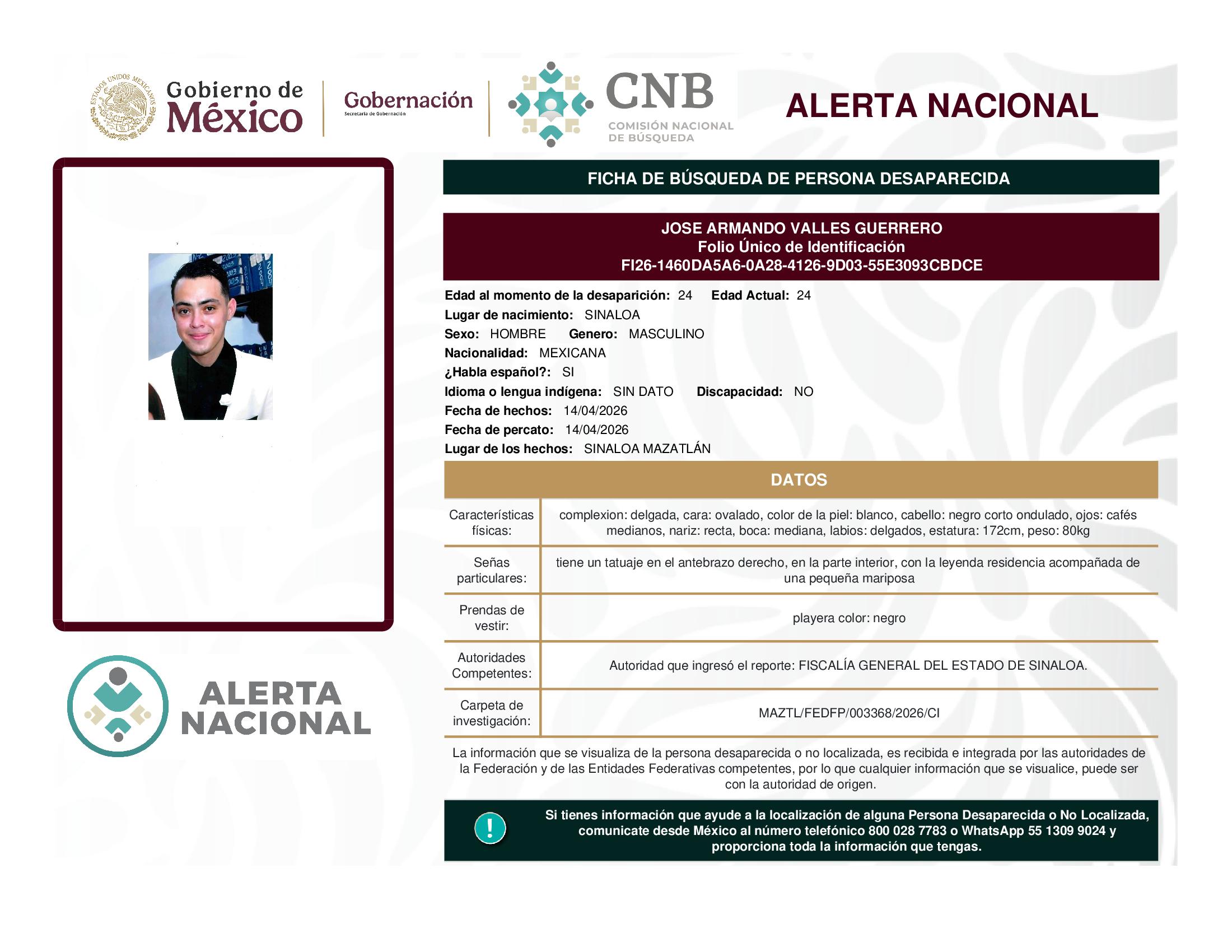 JOSE ARMANDO VALLES GUERRERO