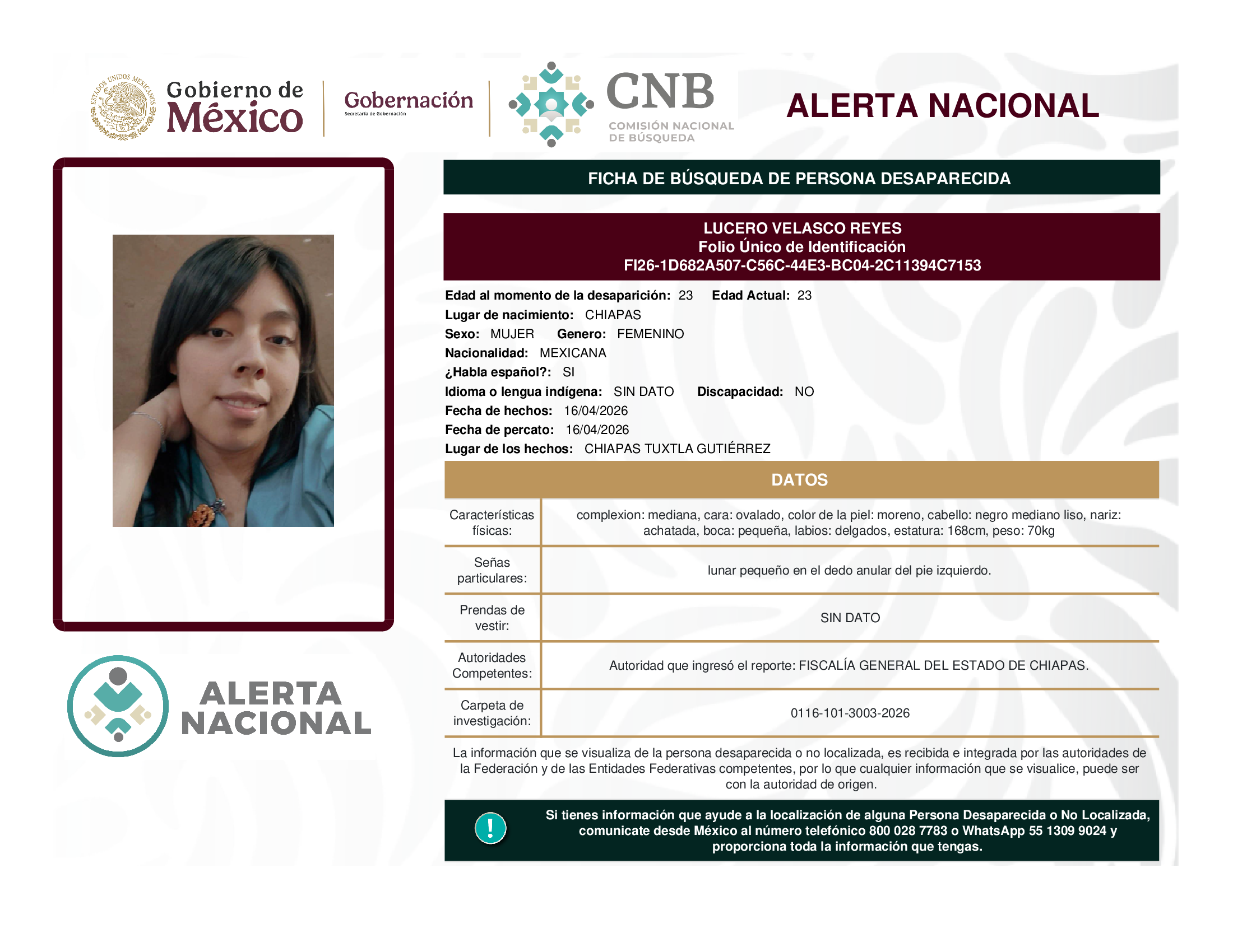 LUCERO VELASCO REYES