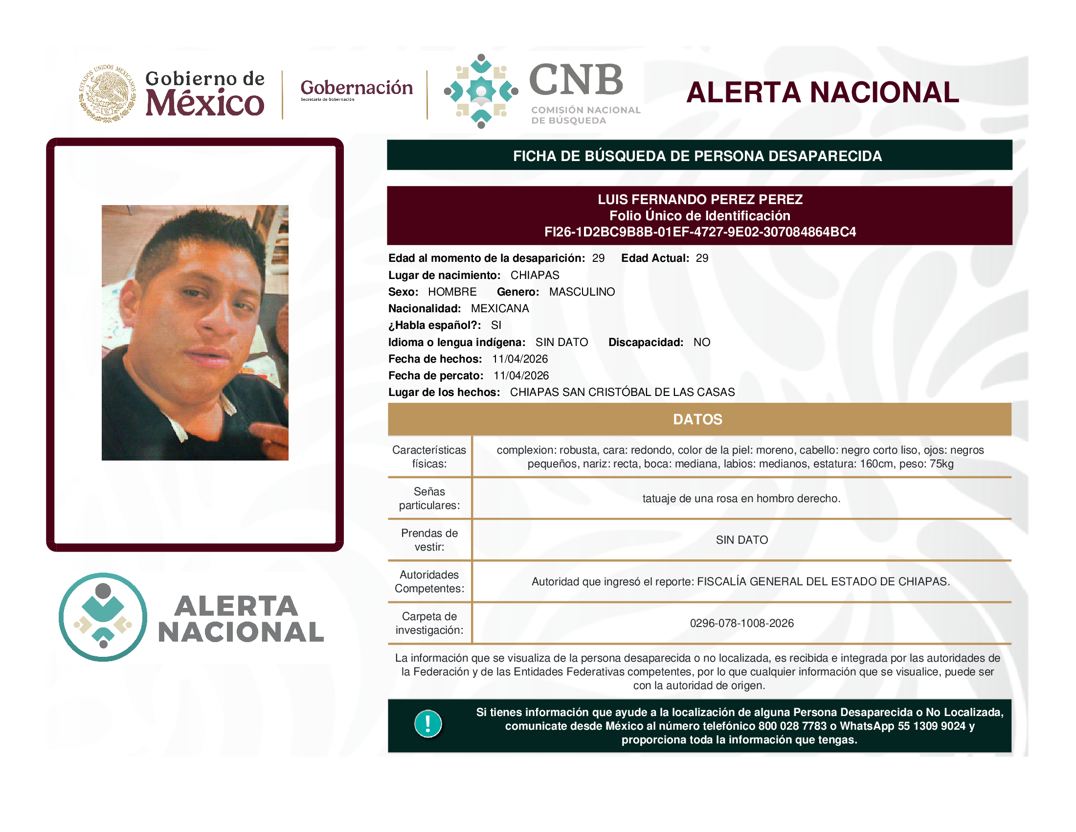 LUIS FERNANDO PEREZ PEREZ