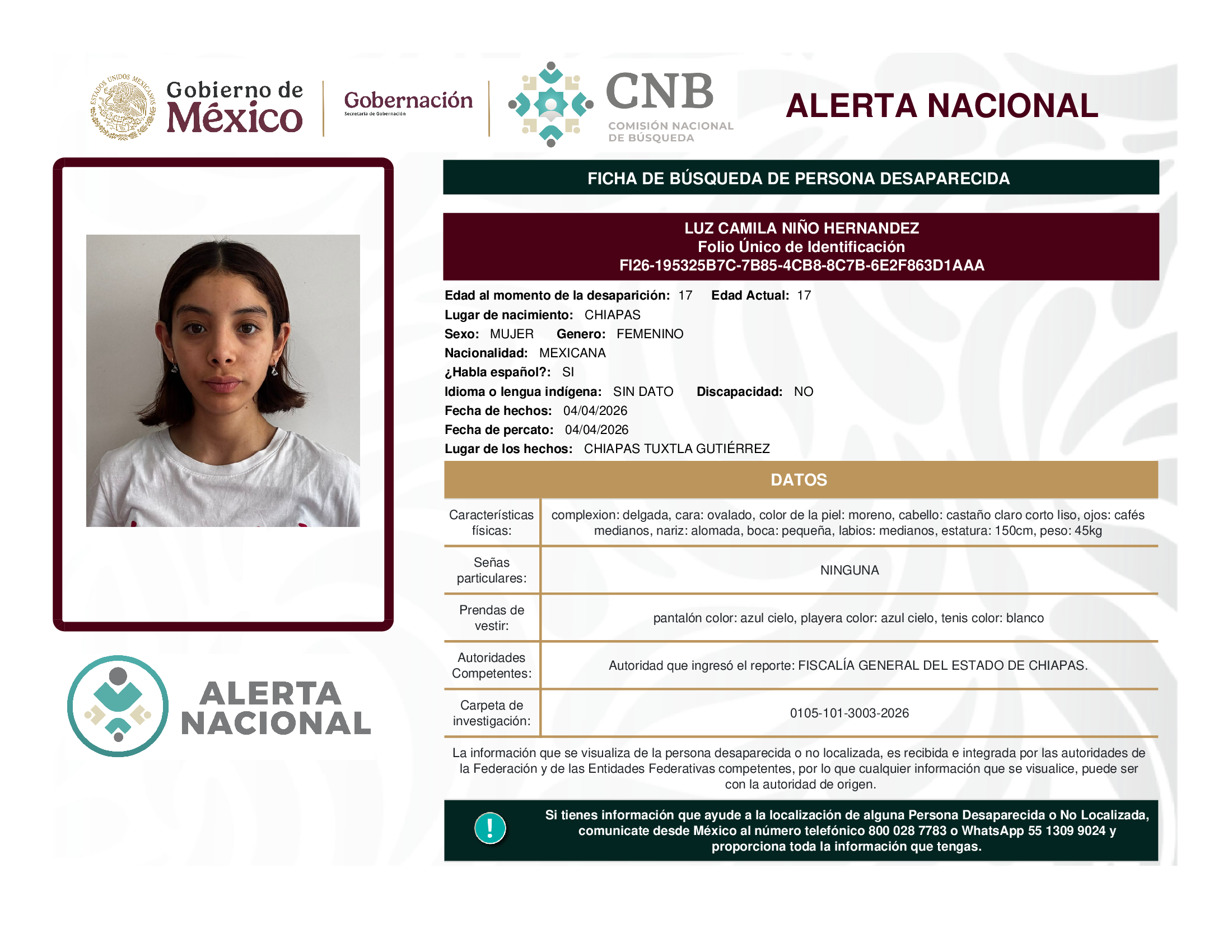 LUZ CAMILA NIÑO HERNANDEZ