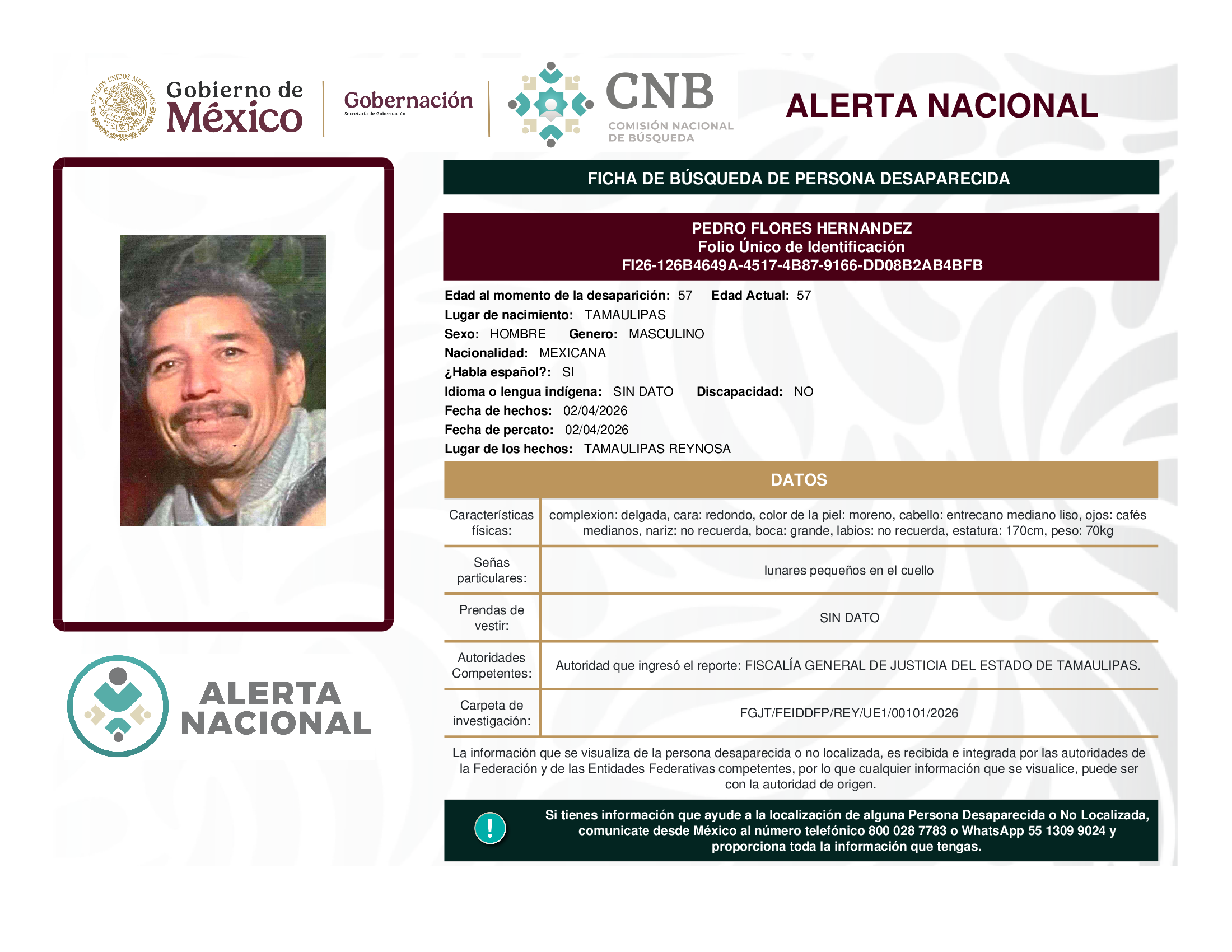 PEDRO FLORES HERNANDEZ