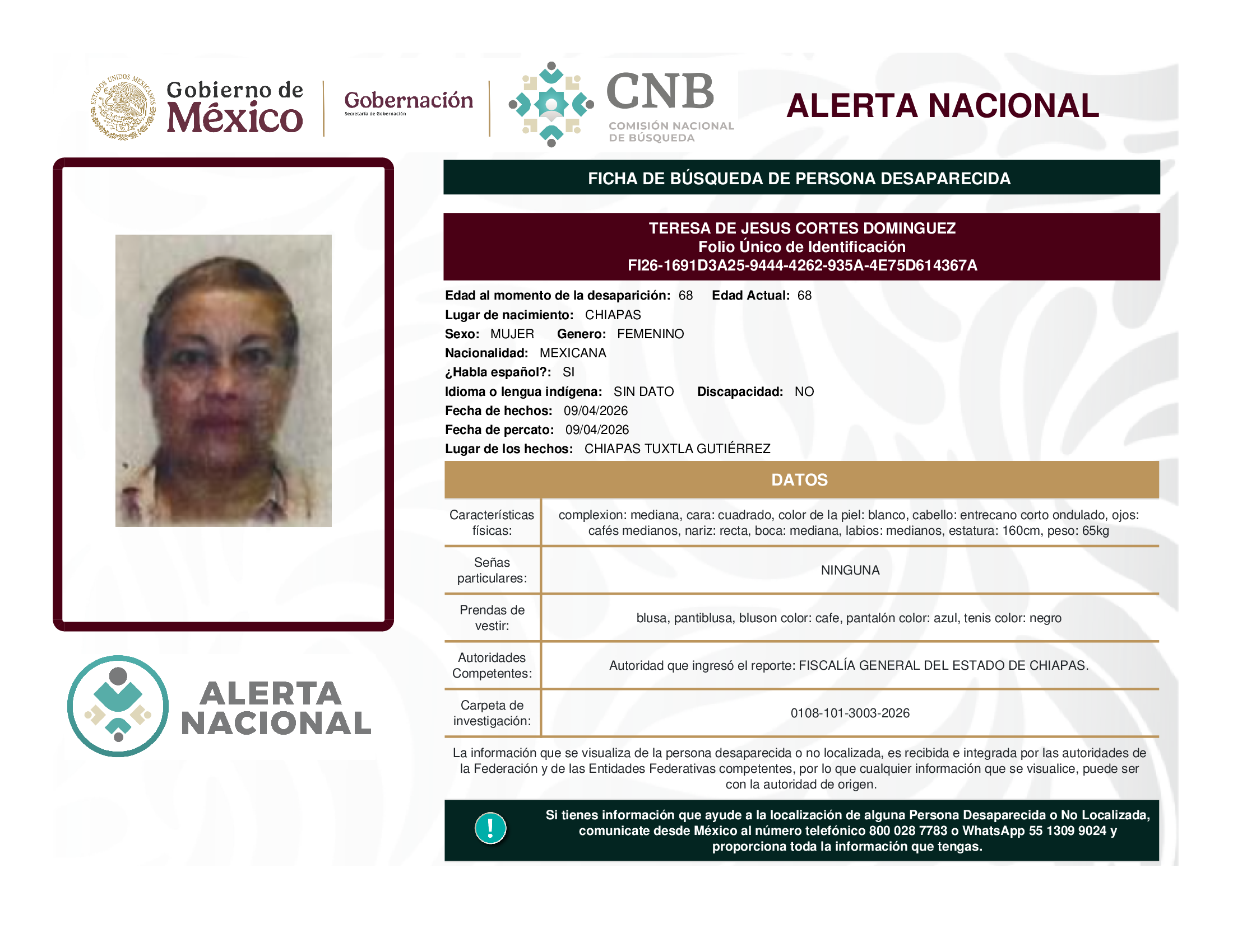 TERESA DE JESUS CORTES DOMINGUEZ