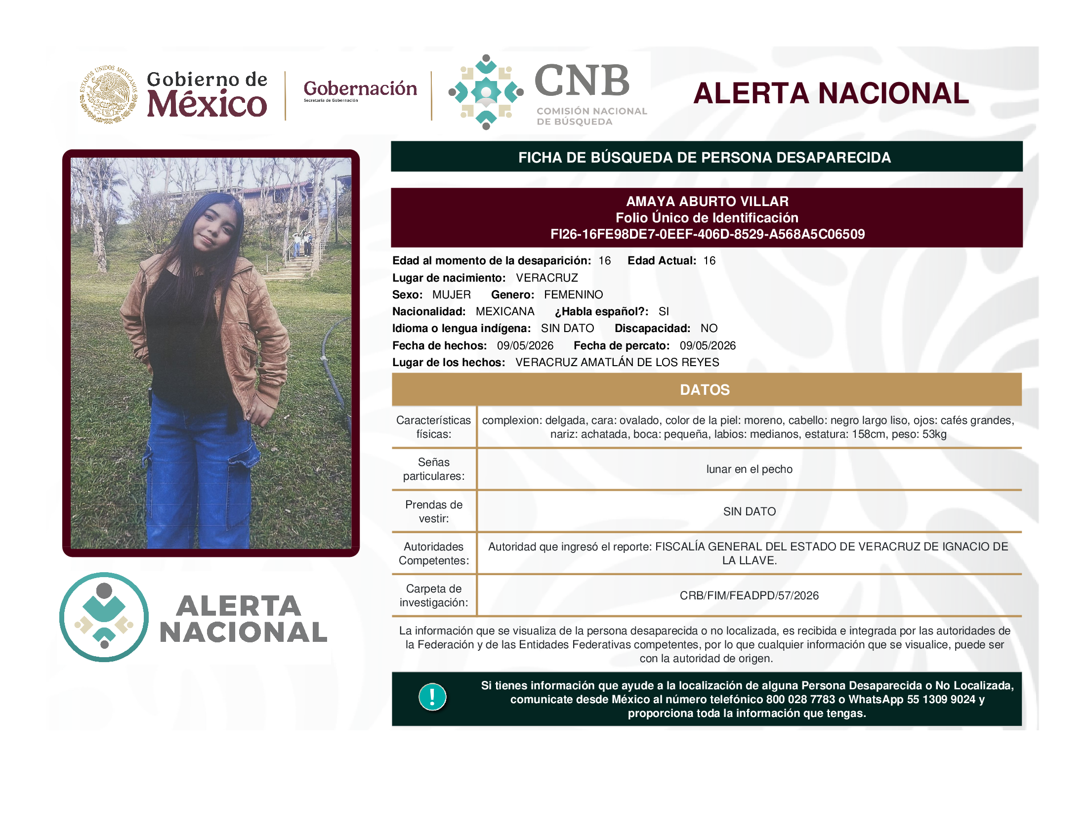 AMAYA ABURTO VILLAR