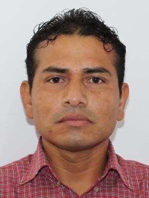 CAMPILLO GARCIA MARIO
