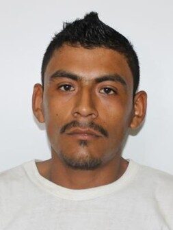 DZUL HERNANDEZ VICTOR MANUEL