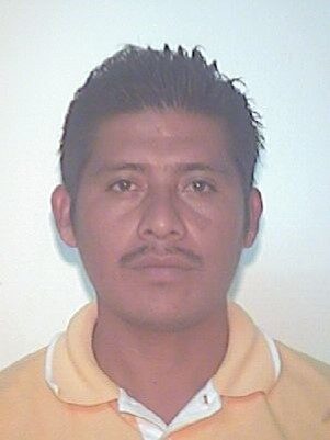 MIGUEL HERNANDEZ JOSE LUIS
