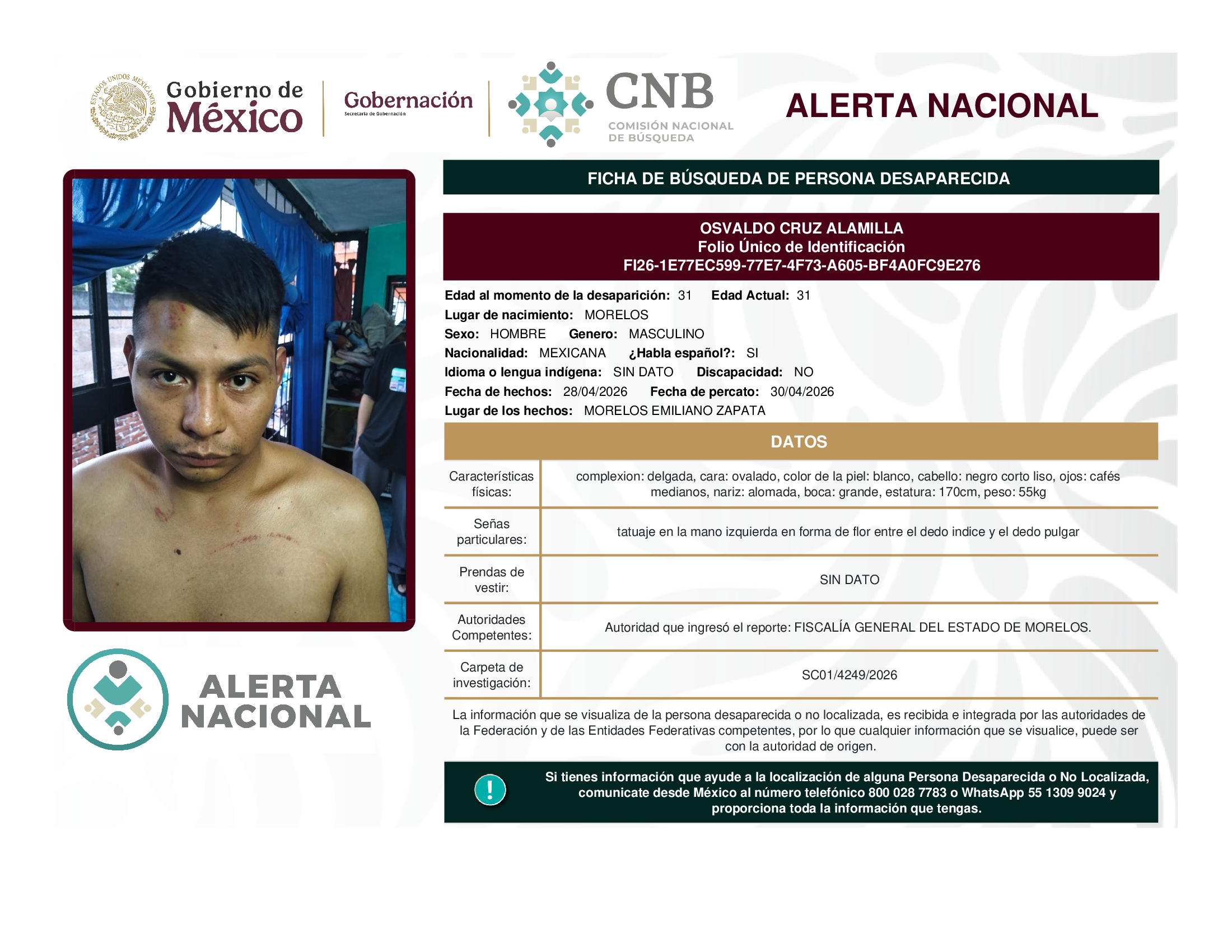OSVALDO CRUZ ALAMILLA