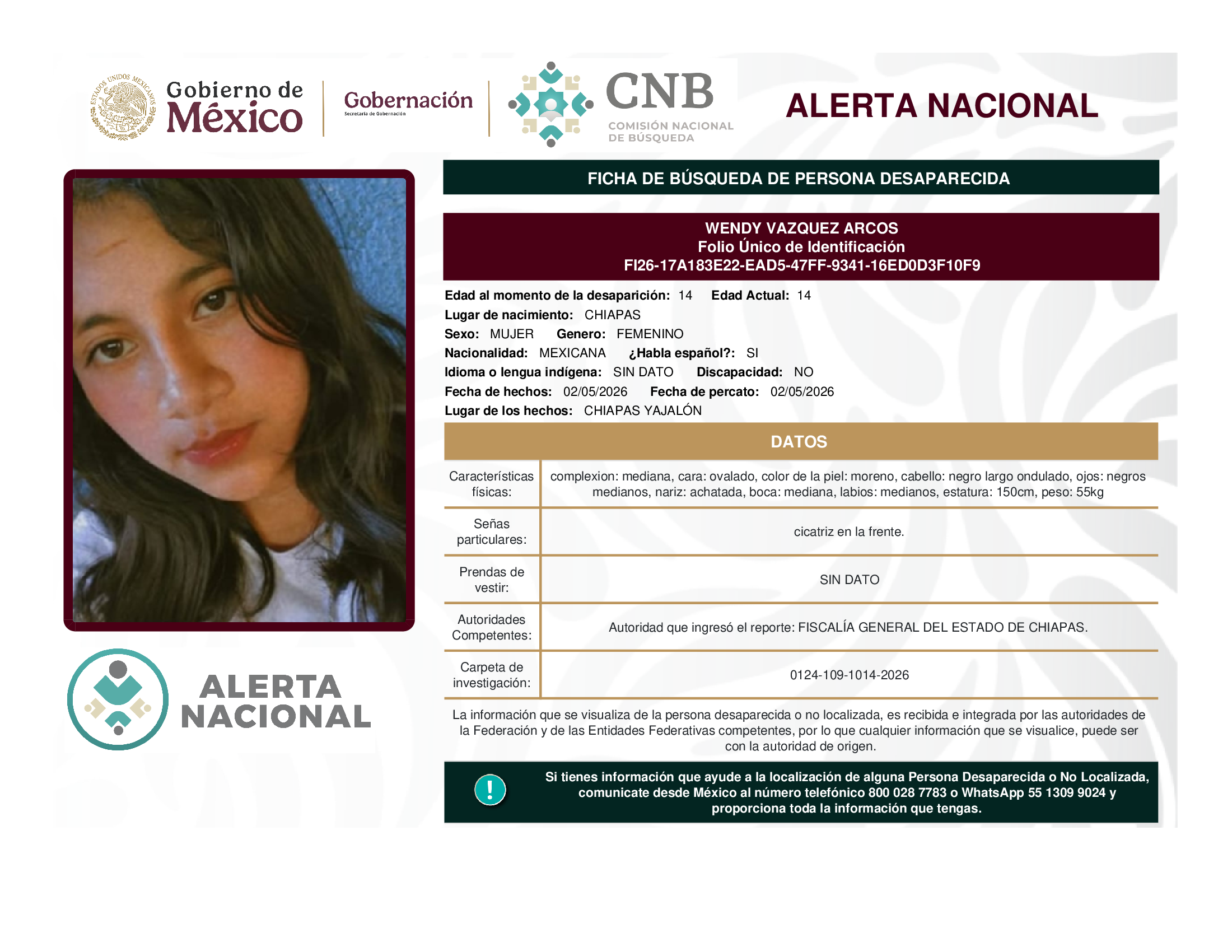 WENDY VAZQUEZ ARCOS