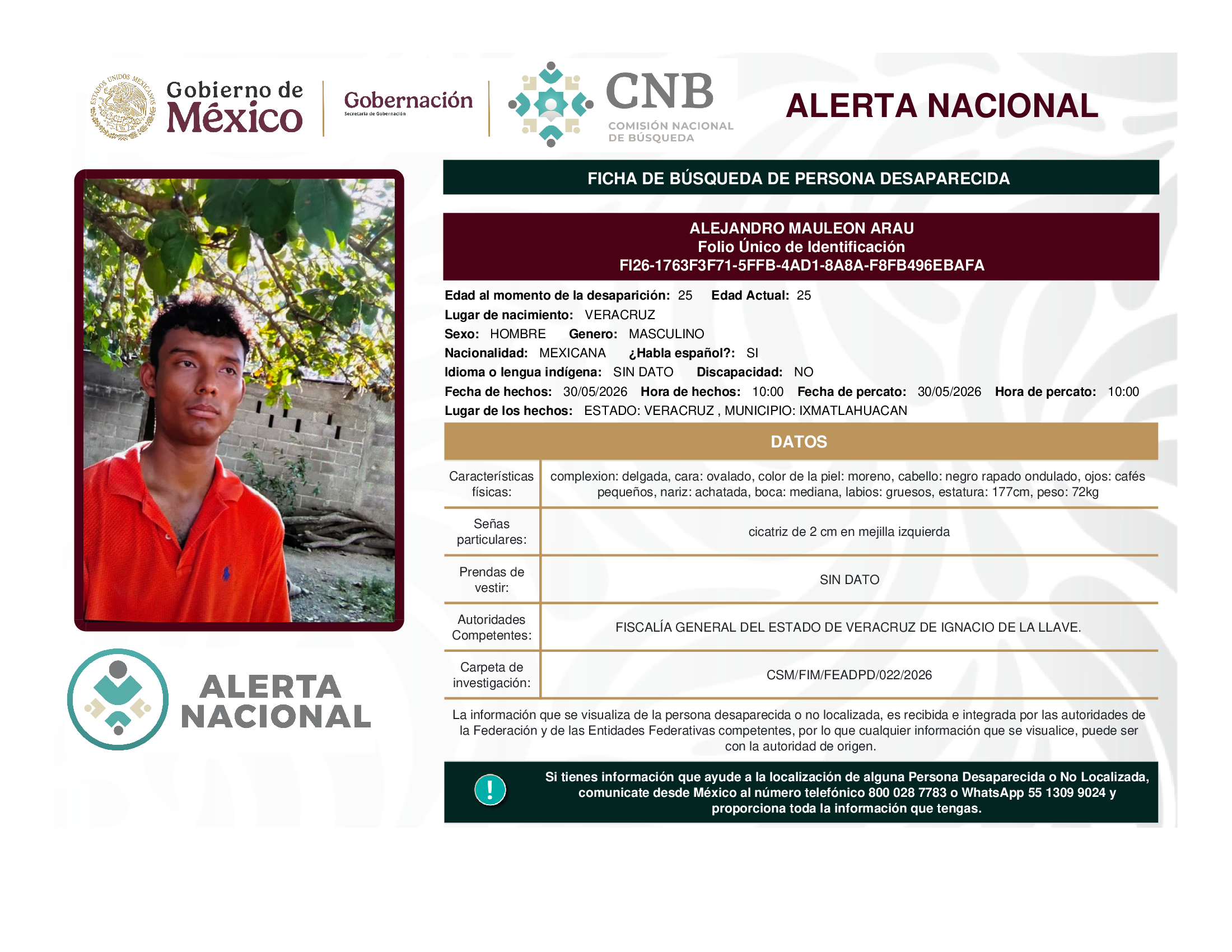 ALEJANDRO MAULEON ARAU