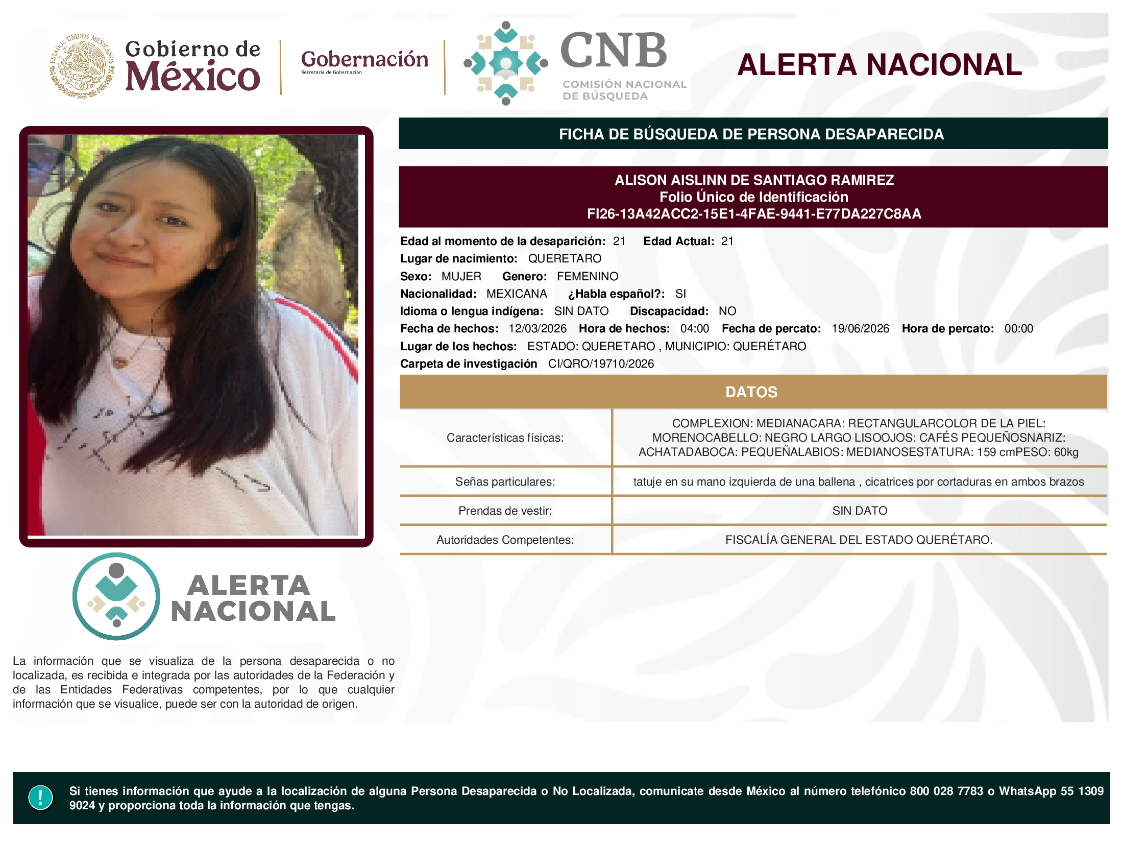 ALISON AISLINN DE SANTIAGO RAMIREZ