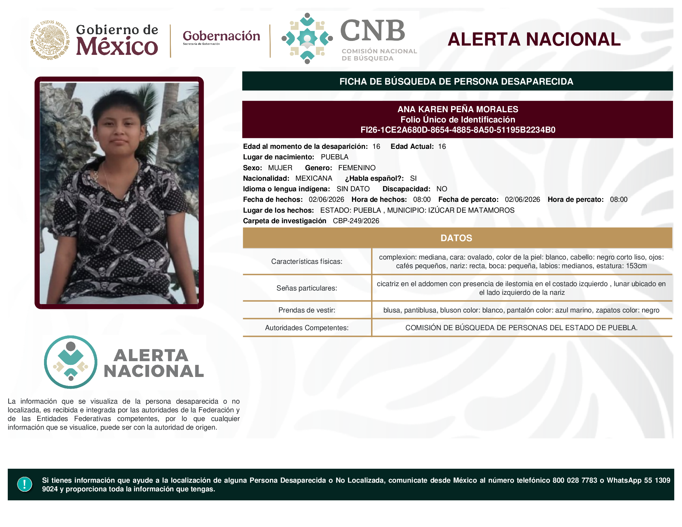 ANA KAREN PEÑA MORALES