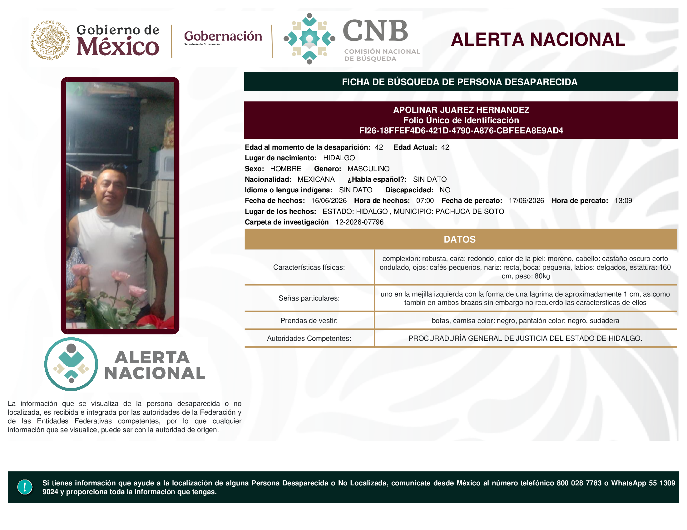 APOLINAR JUAREZ HERNANDEZ