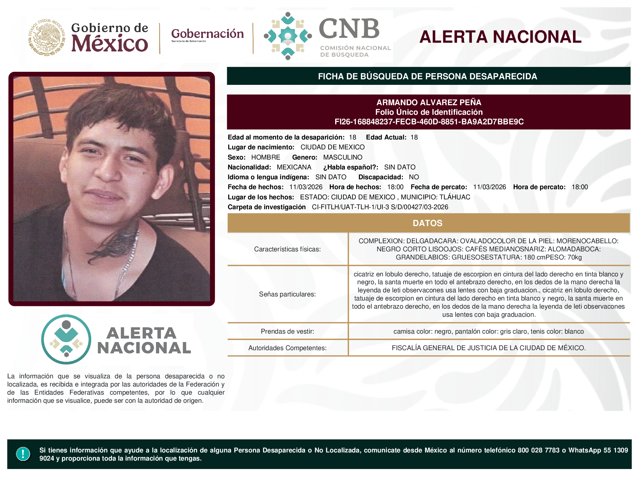 ARMANDO ALVAREZ PEÑA