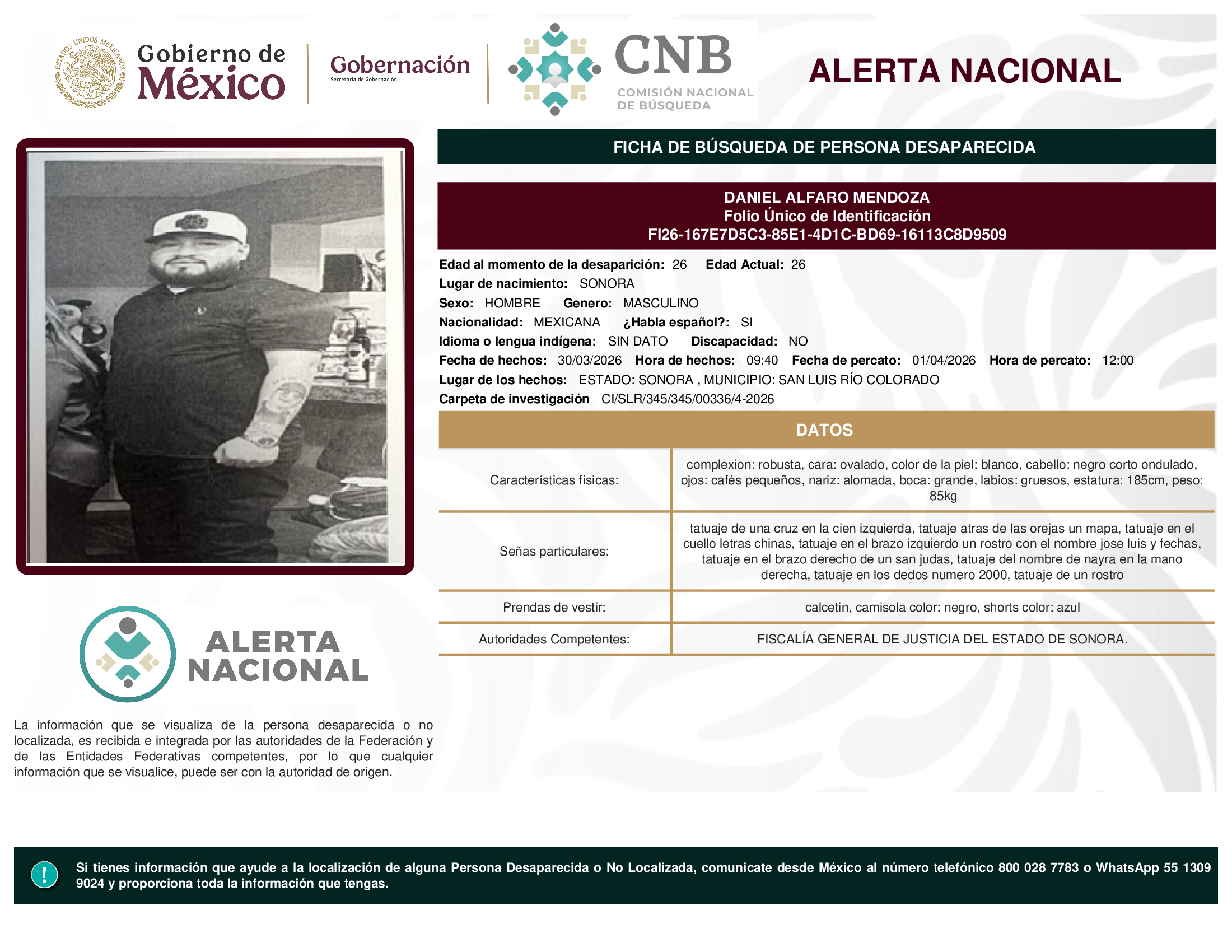 DANIEL ALFARO MENDOZA