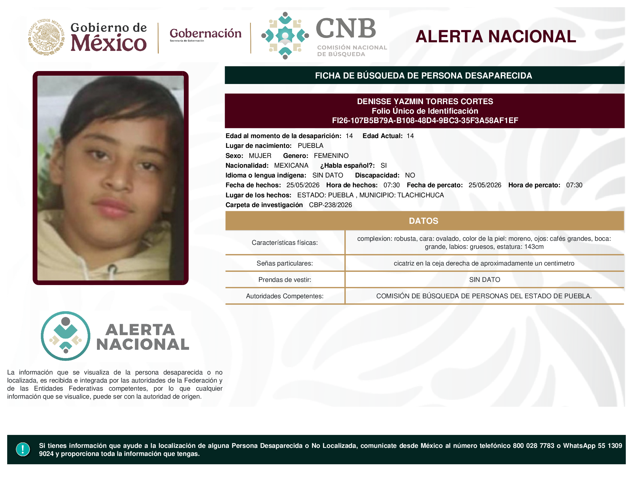 DENISSE YAZMIN TORRES CORTES