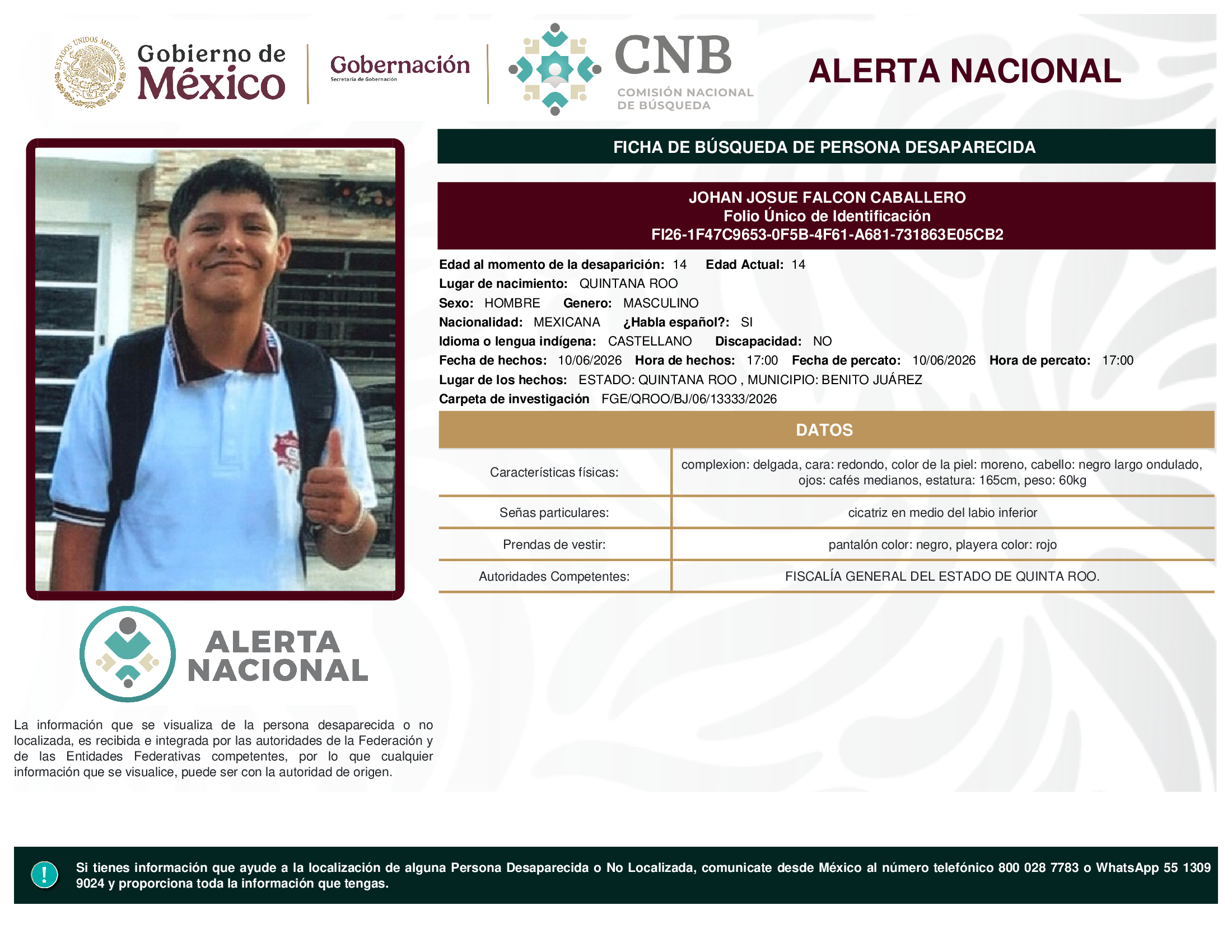 JOHAN JOSUE FALCON CABALLERO