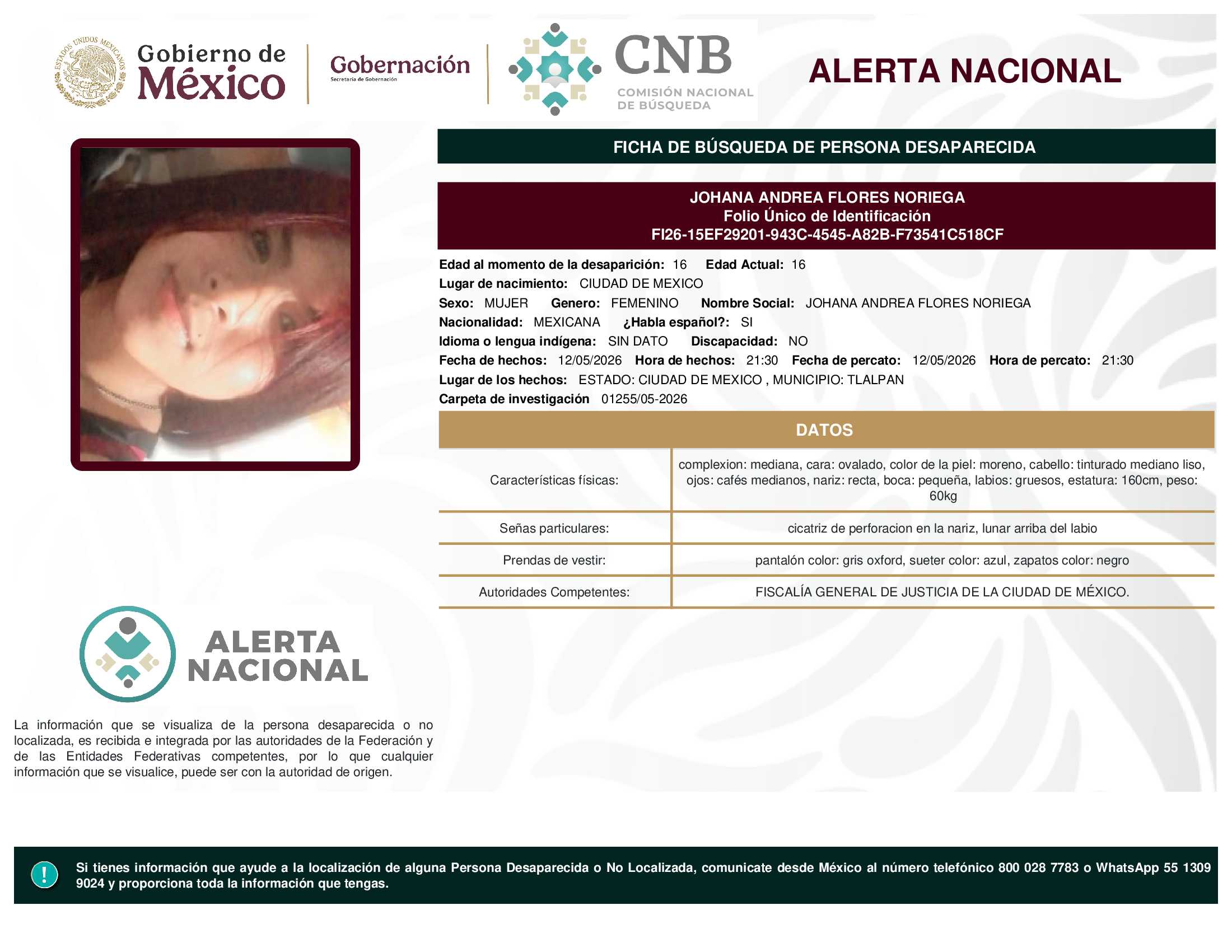 JOHANA ANDREA FLORES NORIEGA