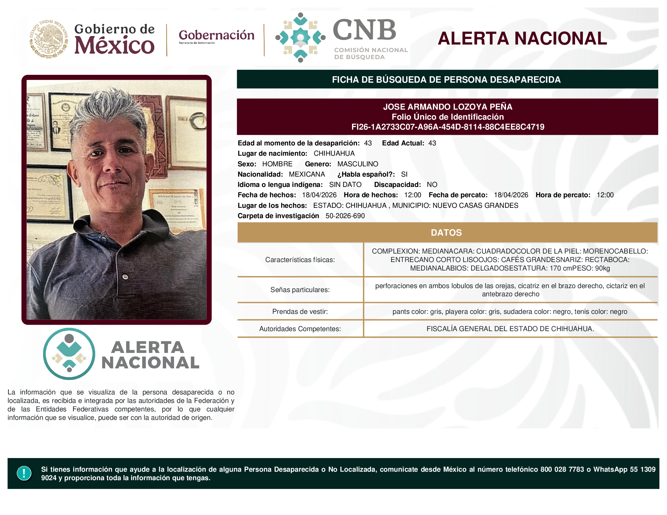 JOSE ARMANDO LOZOYA PEÑA