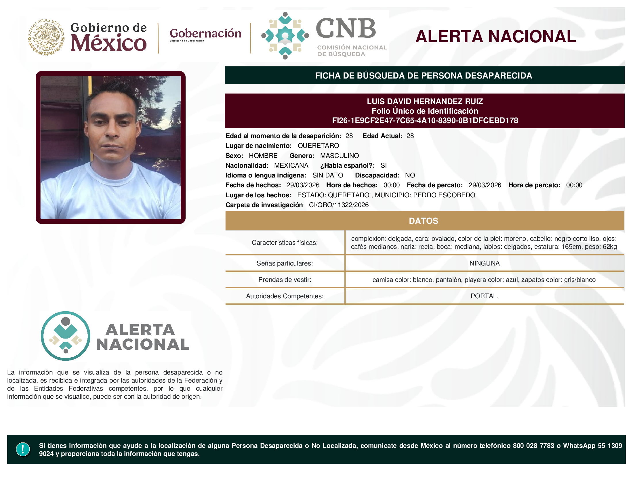 LUIS DAVID HERNANDEZ RUIZ