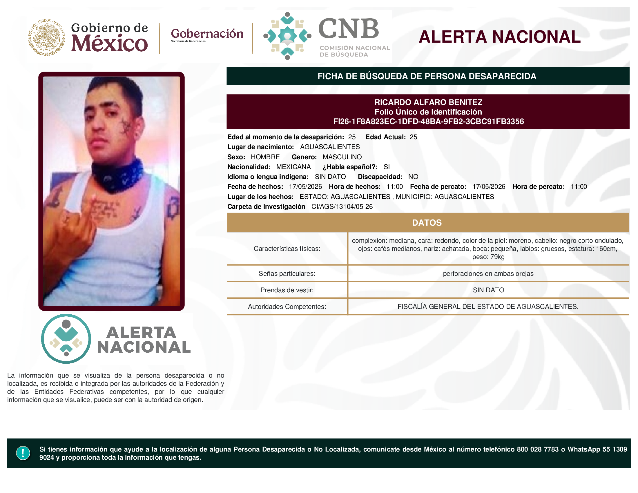 RICARDO ALFARO BENITEZ
