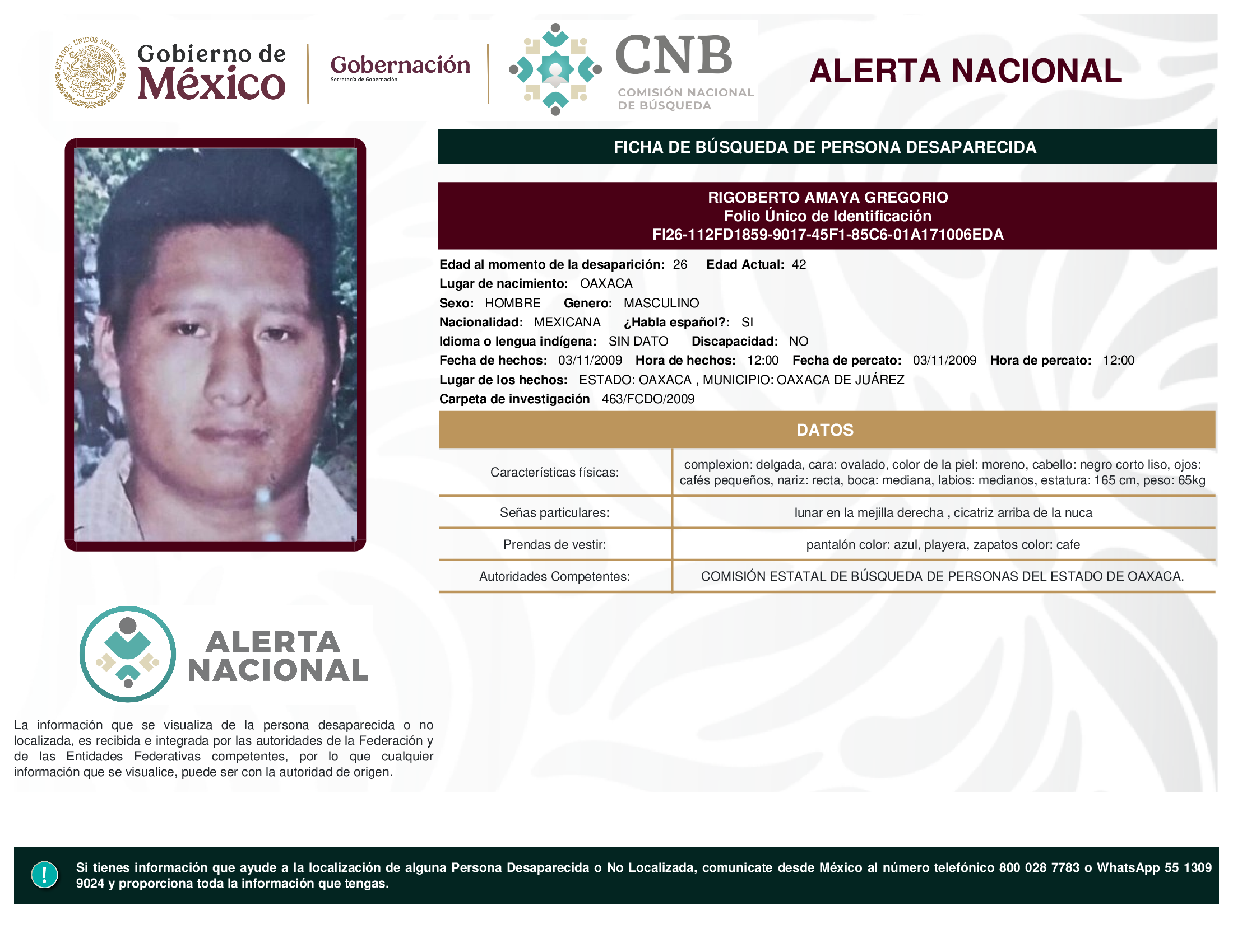 RIGOBERTO AMAYA GREGORIO
