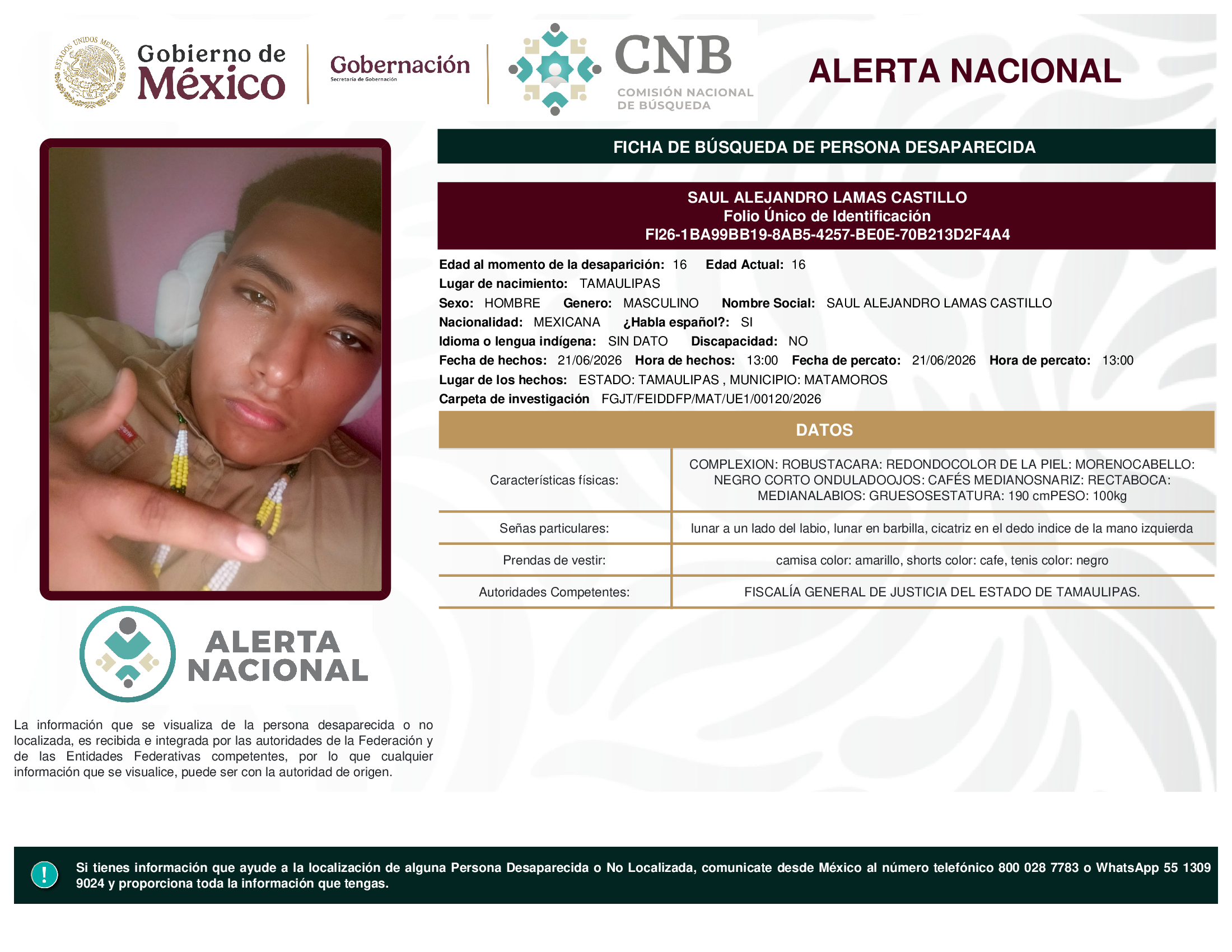 SAUL ALEJANDRO LAMAS CASTILLO