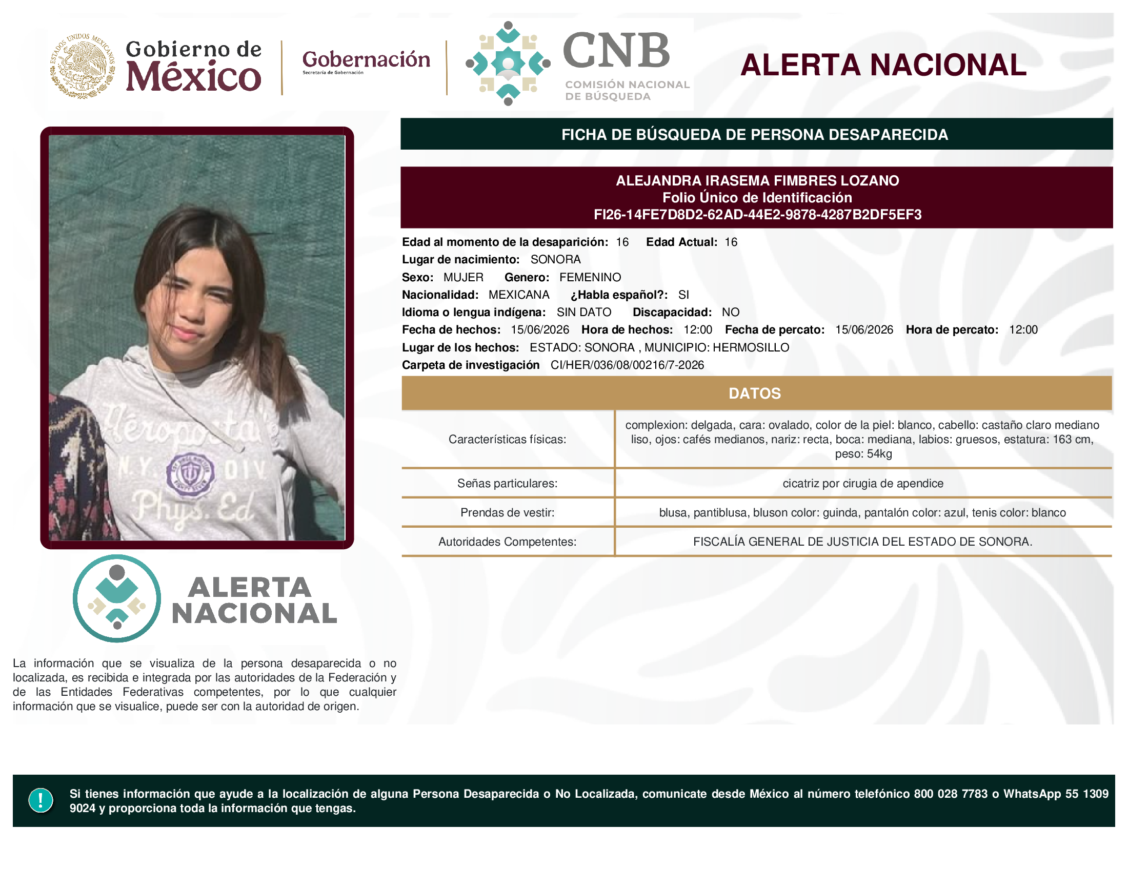 ALEJANDRA IRASEMA FIMBRES LOZANO