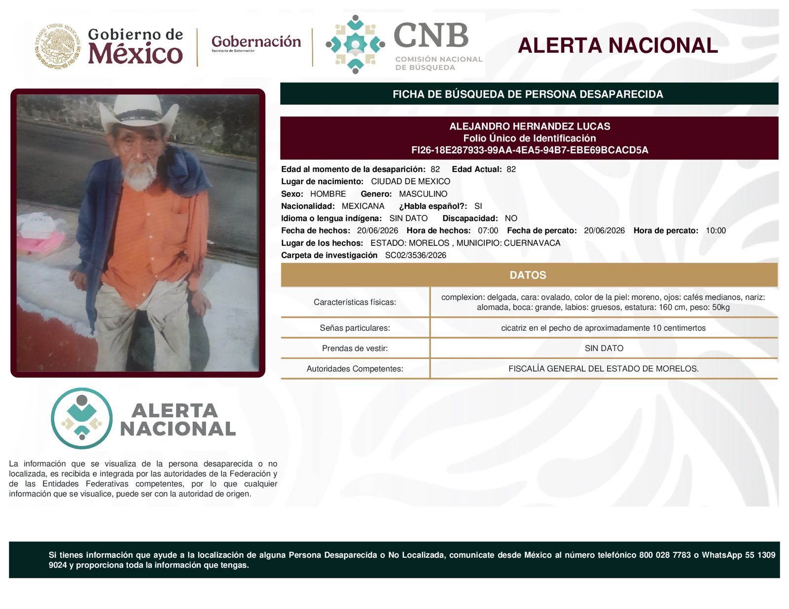 ALEJANDRO HERNANDEZ LUCAS