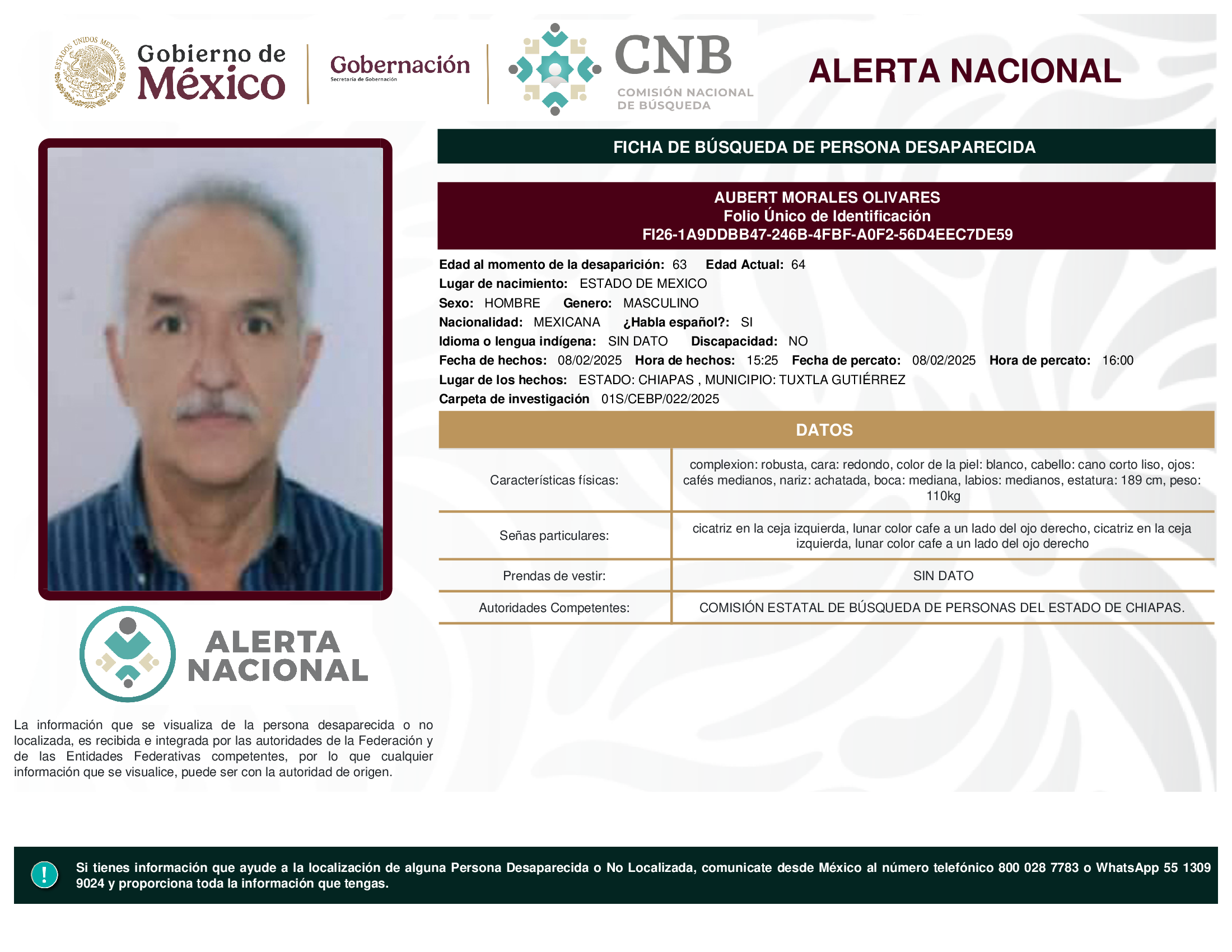 AUBERT MORALES OLIVARES