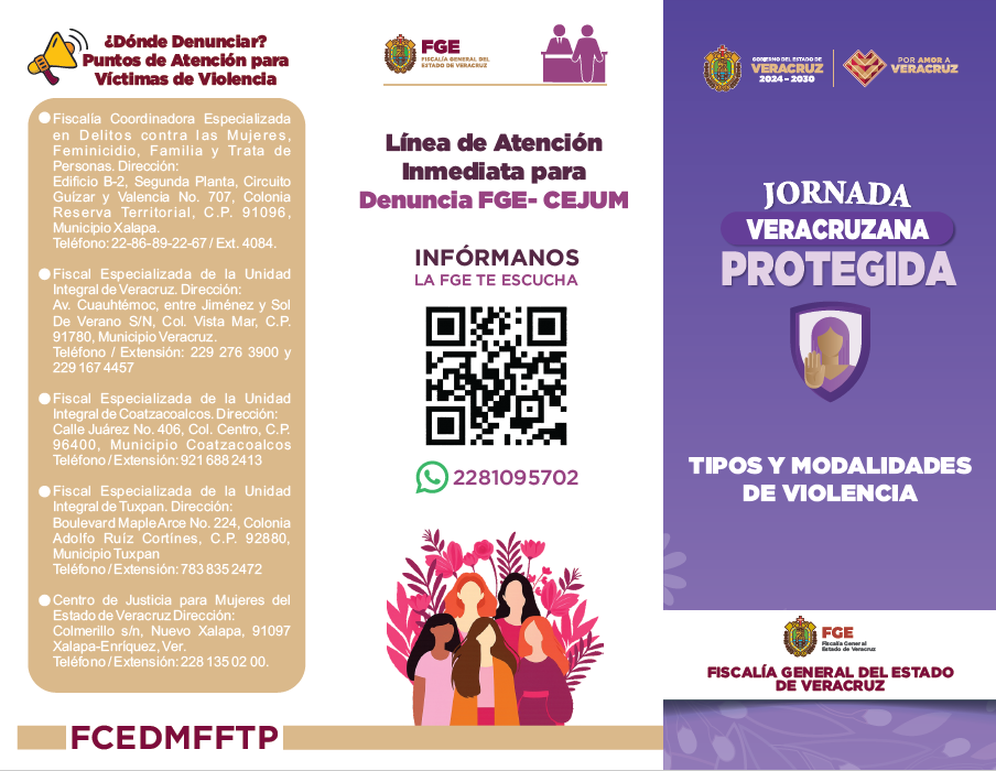 TIPOS Y MODALIDADES DE VIOLENCIA