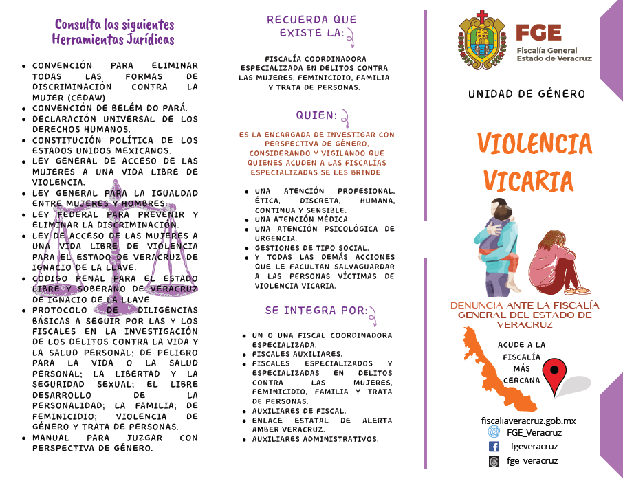 VIOLENCIA VICARIA