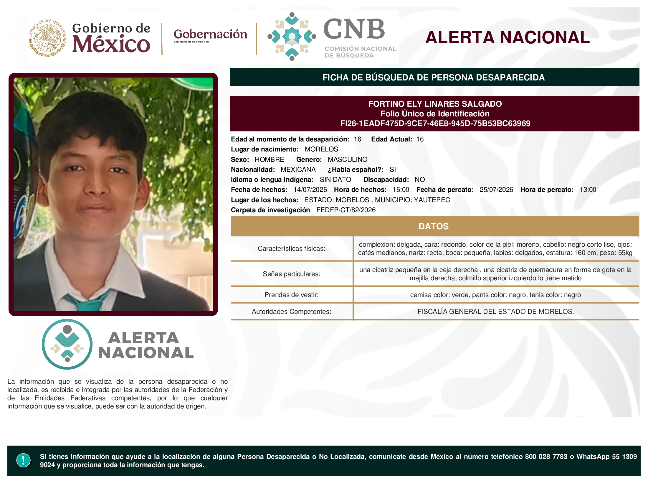 FORTINO ELY LINARES SALGADO